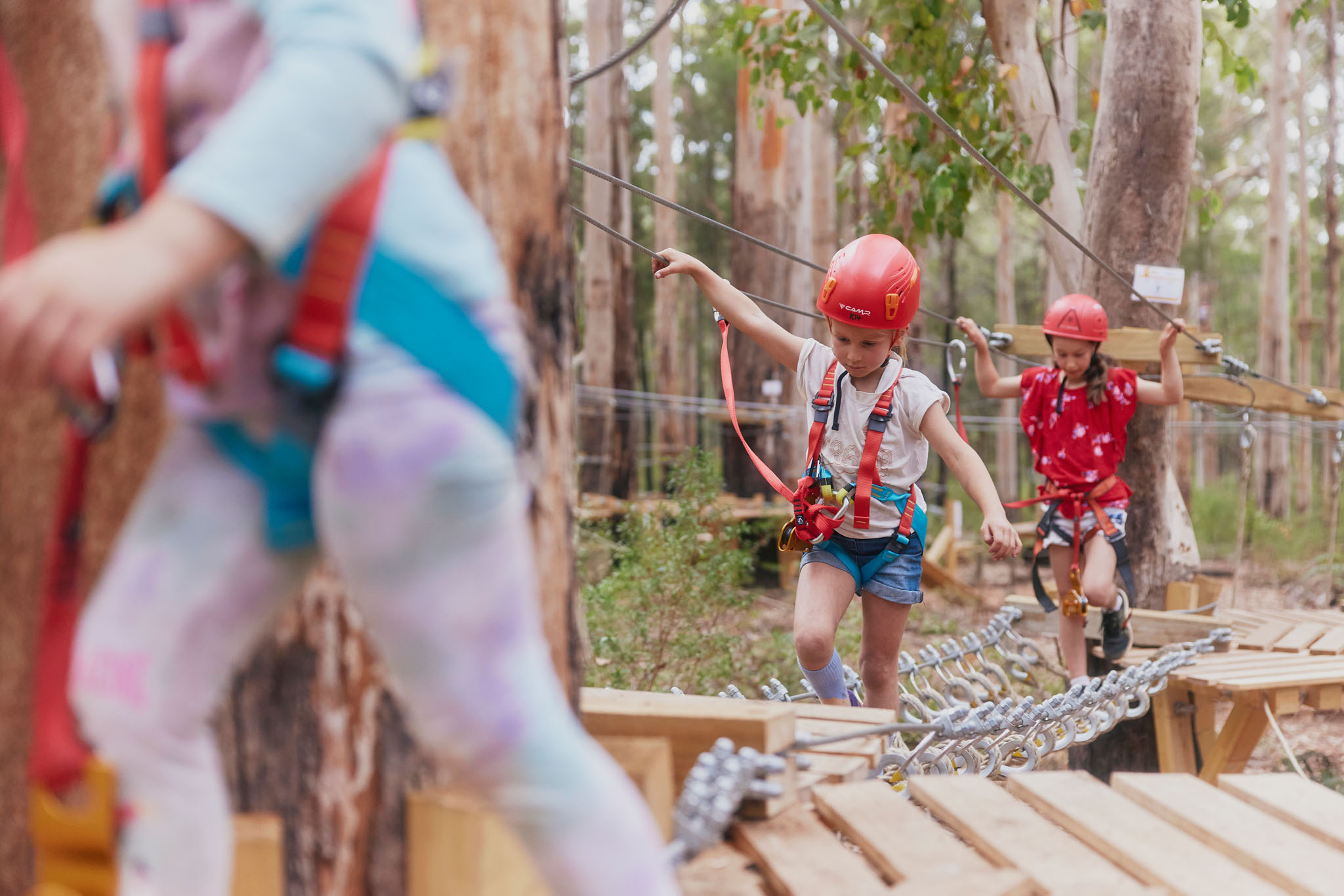 Kookies Access Pass at Aerial Adventure Pemberton