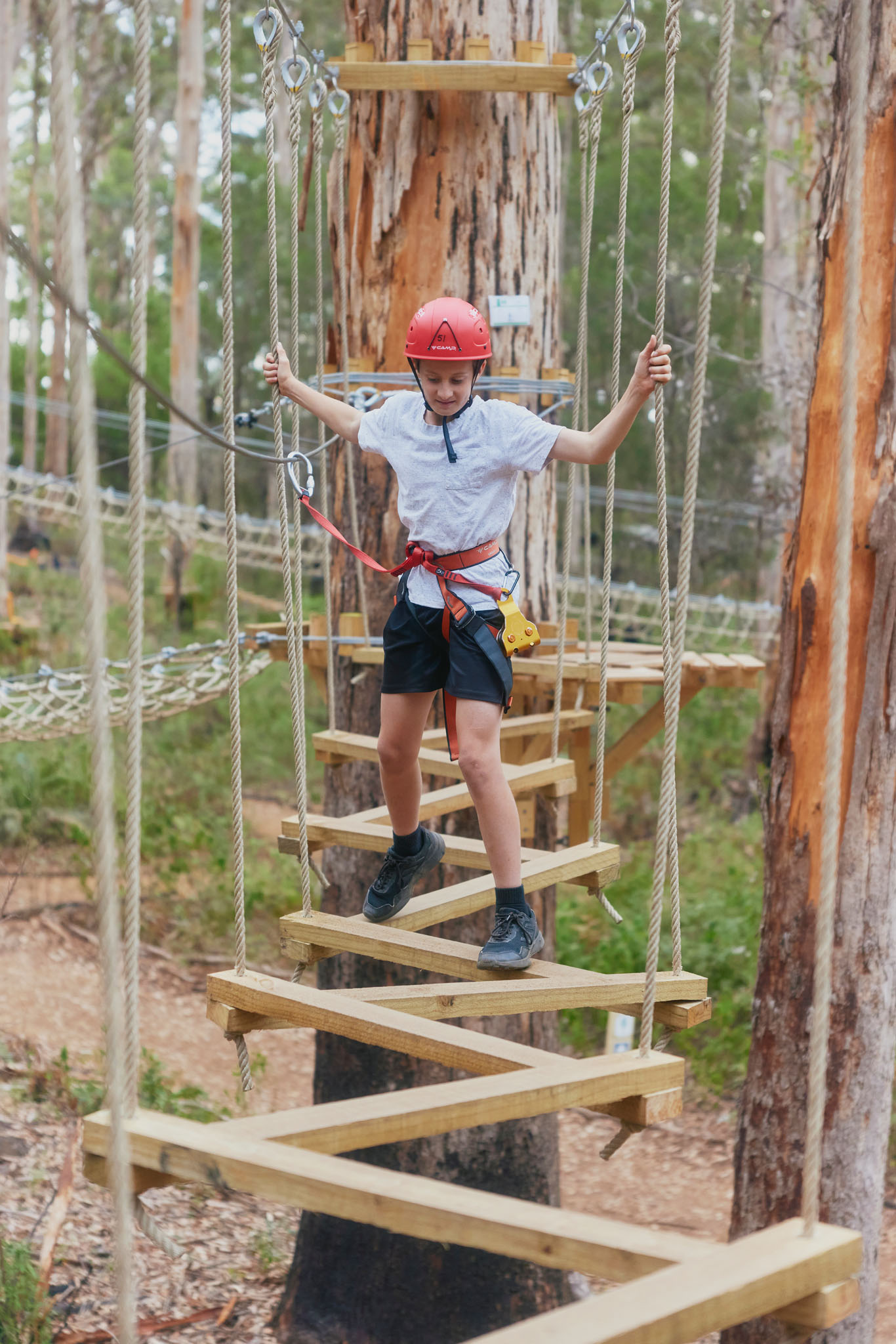 Explorers Access Pass at Aerial Adventure Pemberton