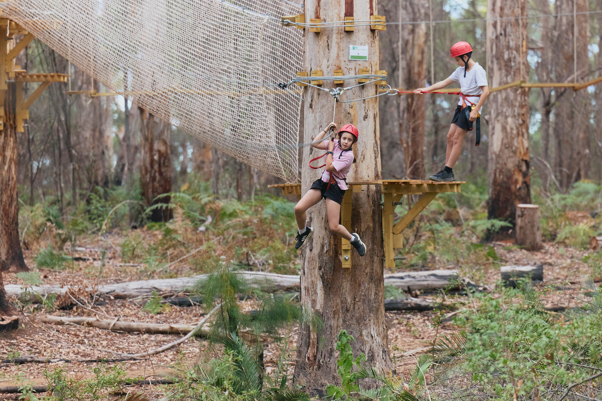 Explorers Access Pass at Aerial Adventure Pemberton