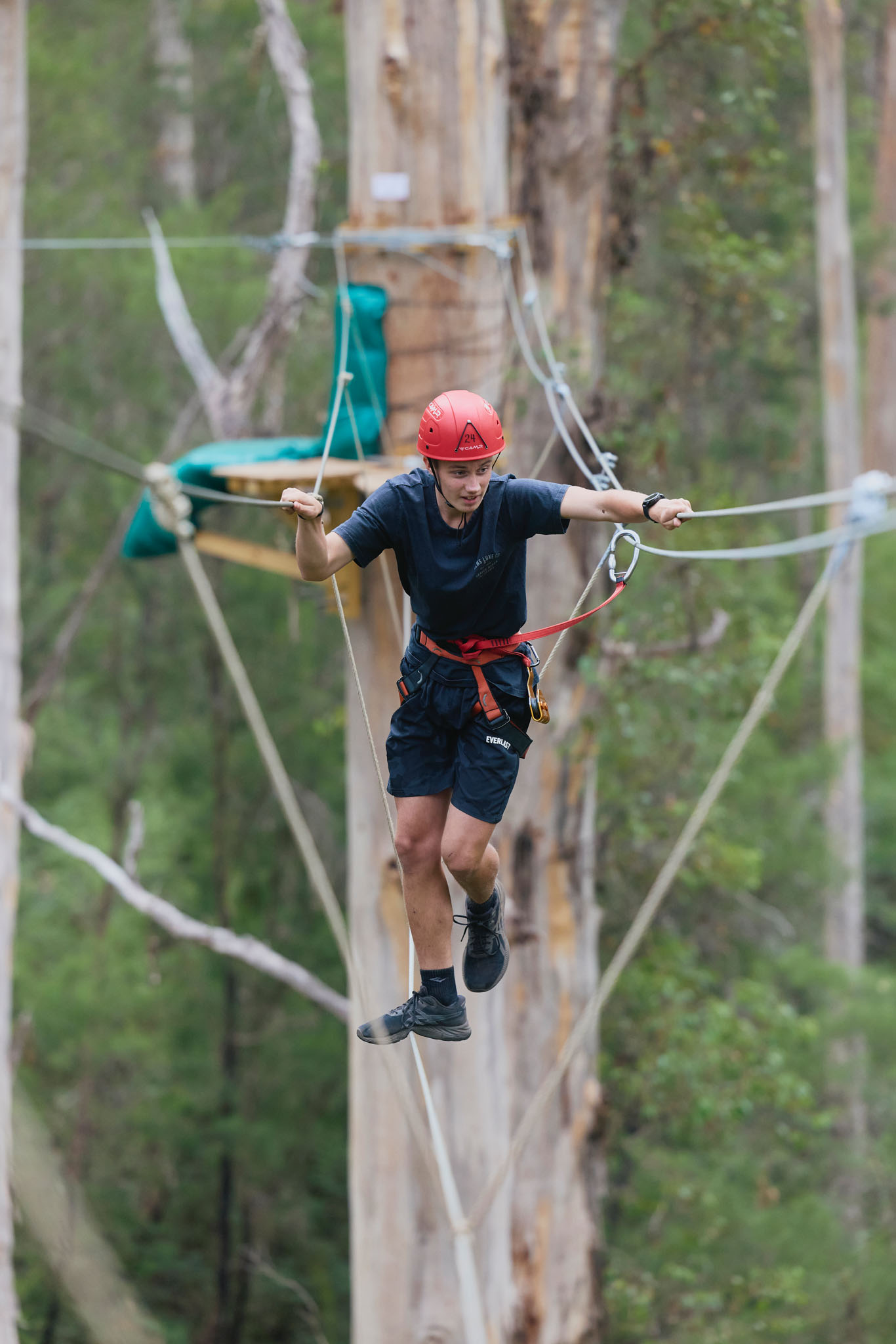 8+ Ultimate Access Pass at Aerial Adventure Pemberton