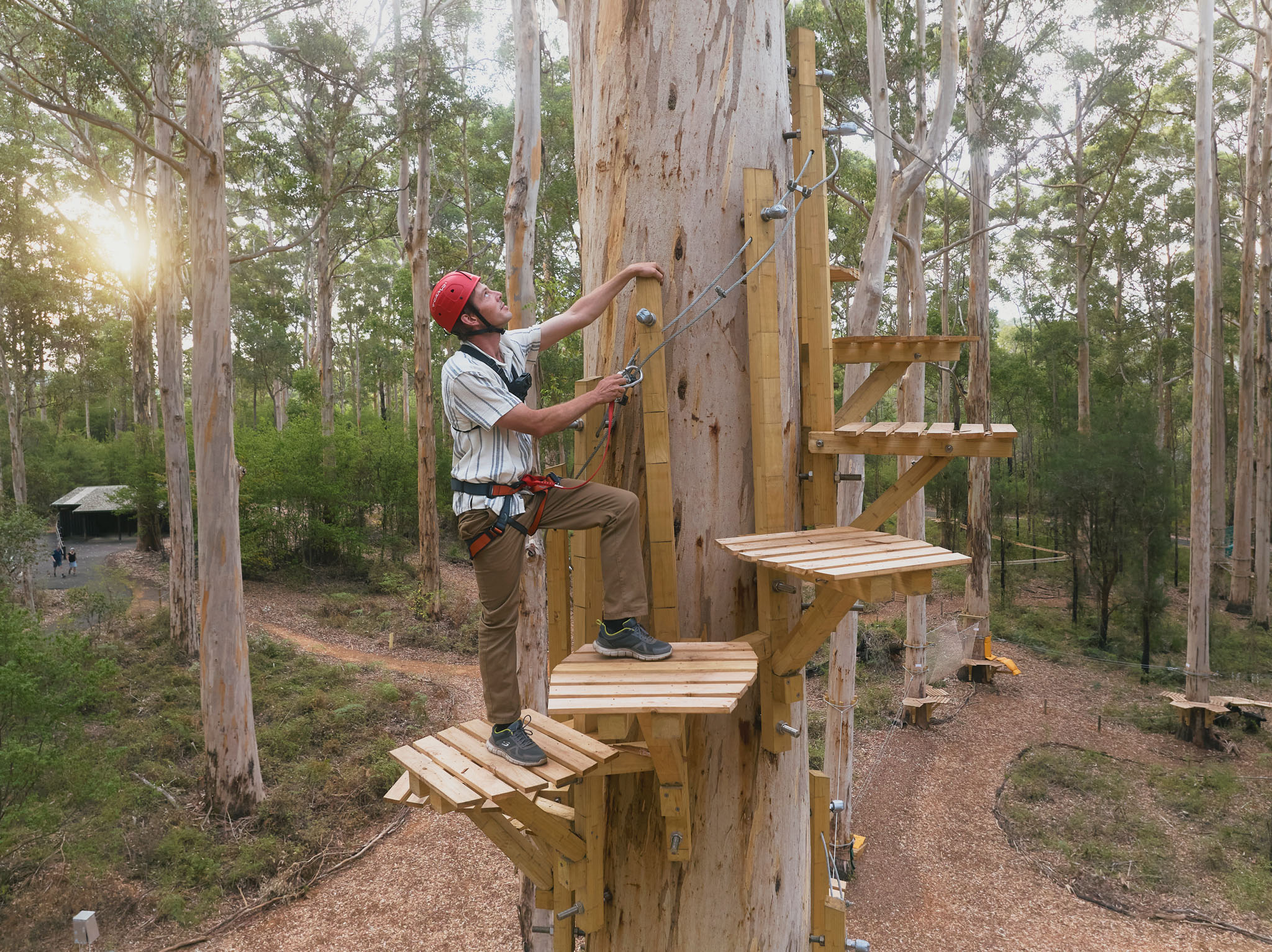 8+ Ultimate Access Pass at Aerial Adventure Pemberton