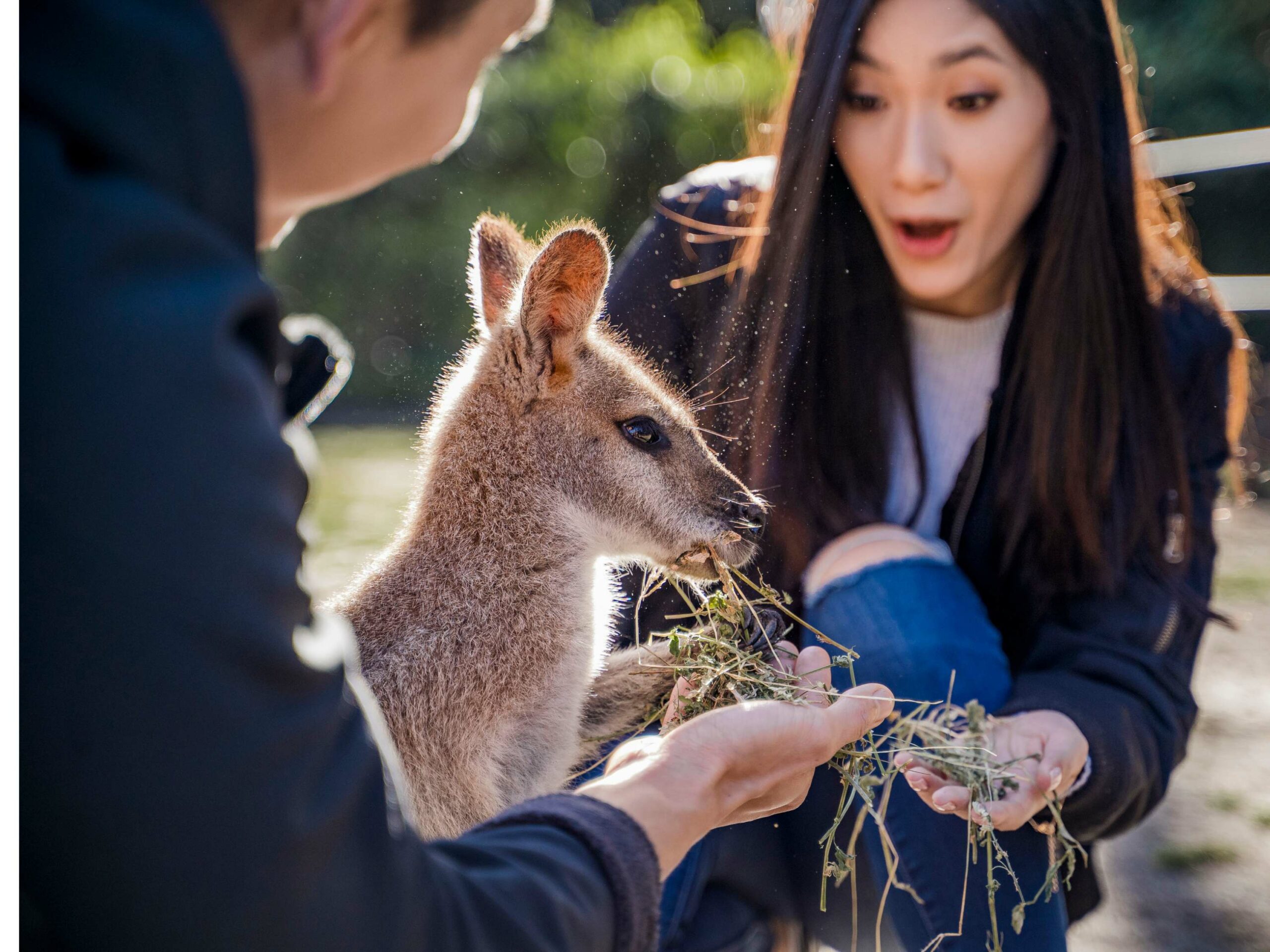 Animal Lovers day tour, departing Newcastle