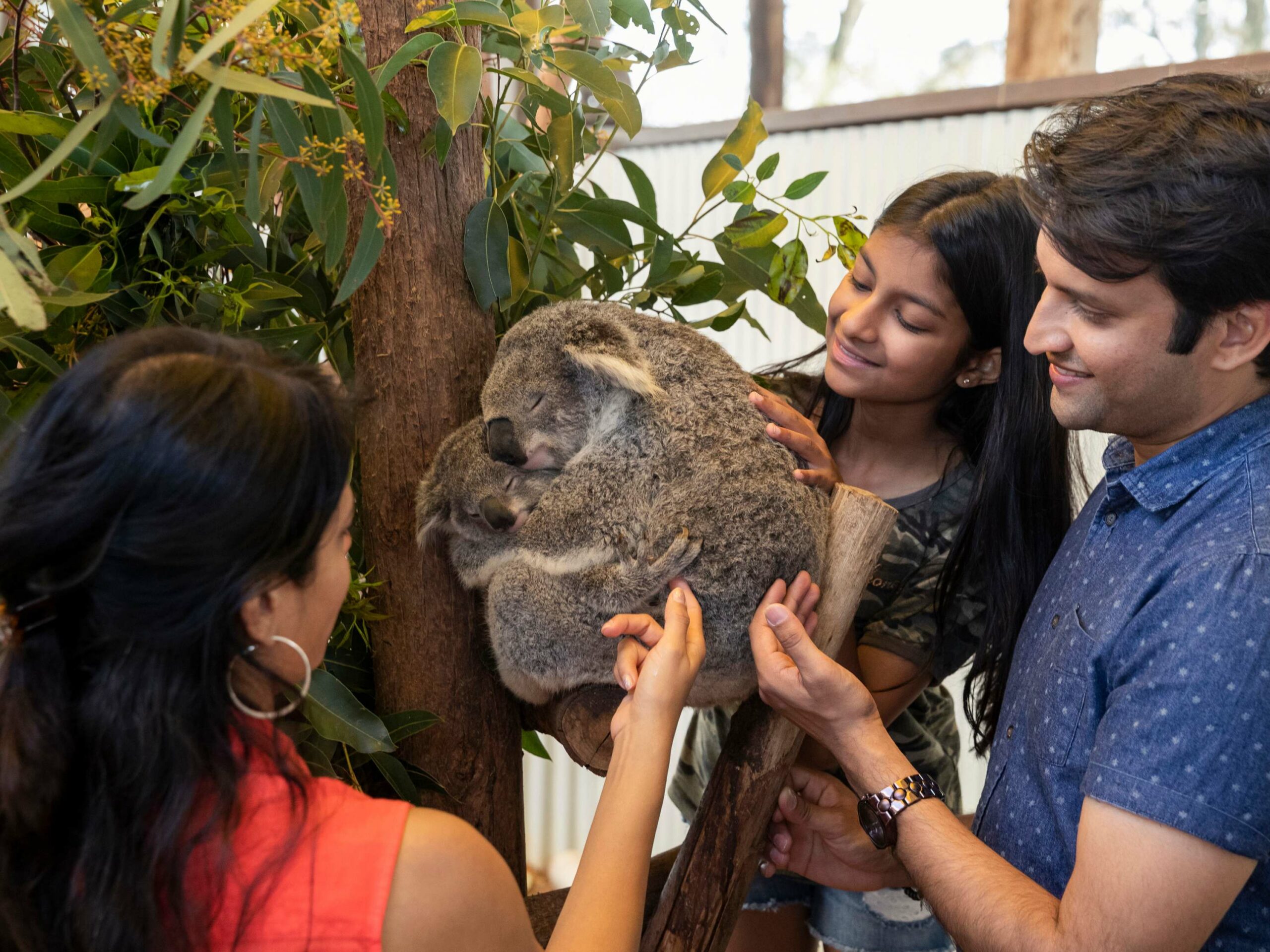 Animal Lovers day tour, departing Newcastle