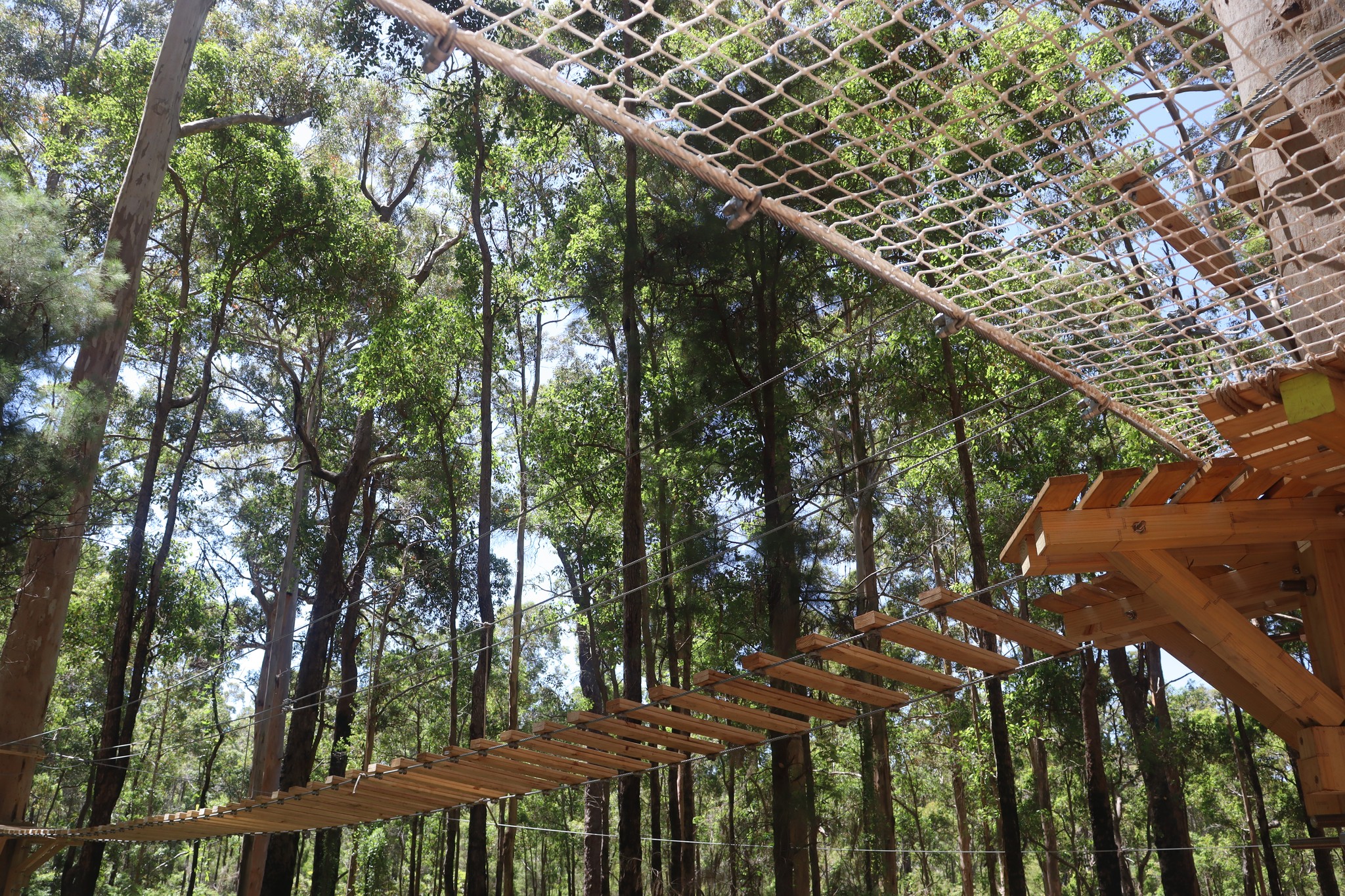 Explorers Access Pass at Aerial Adventure Pemberton