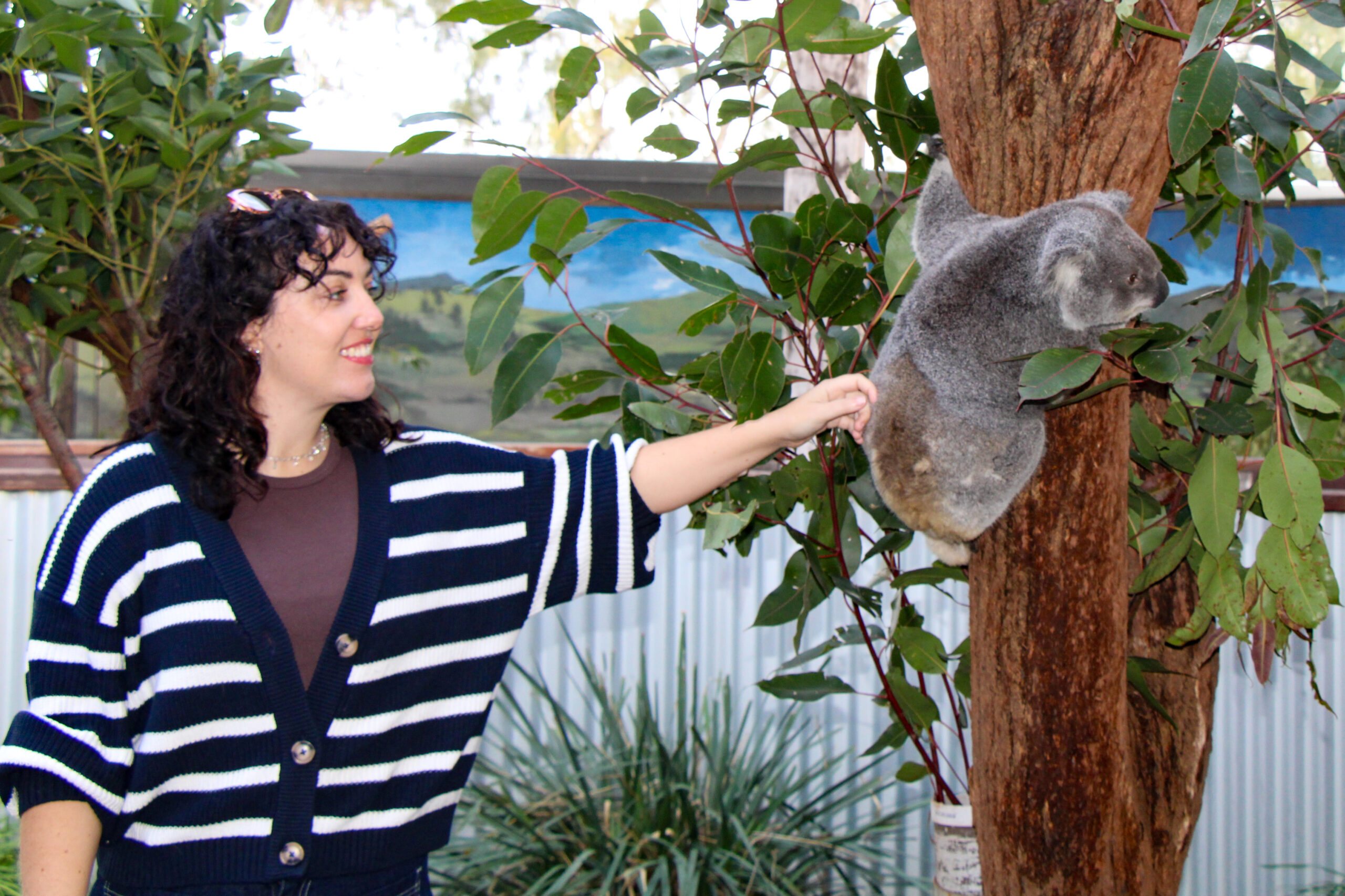 Animal Lovers day tour, departing Newcastle