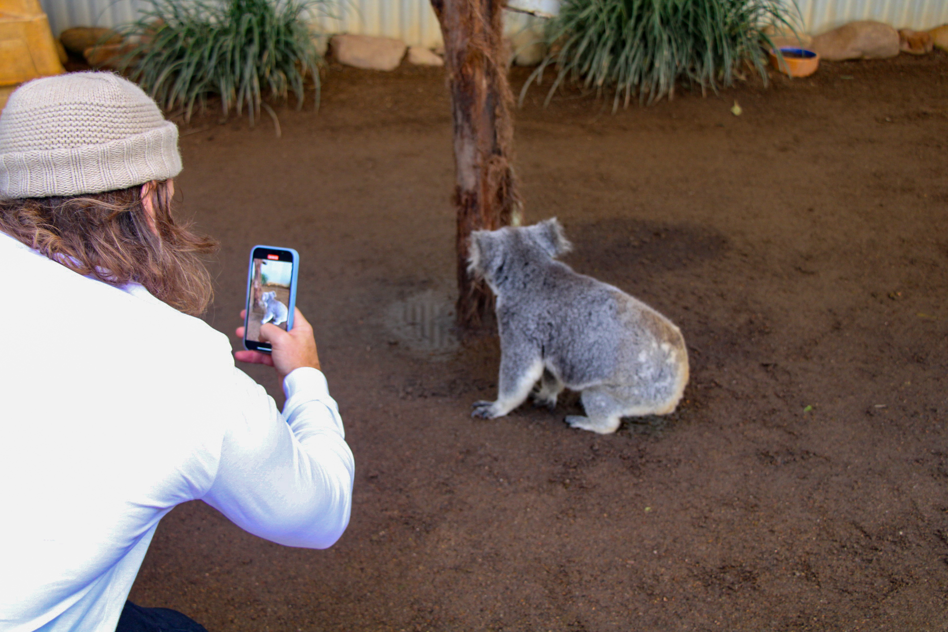 Animal Lovers day tour, departing Newcastle