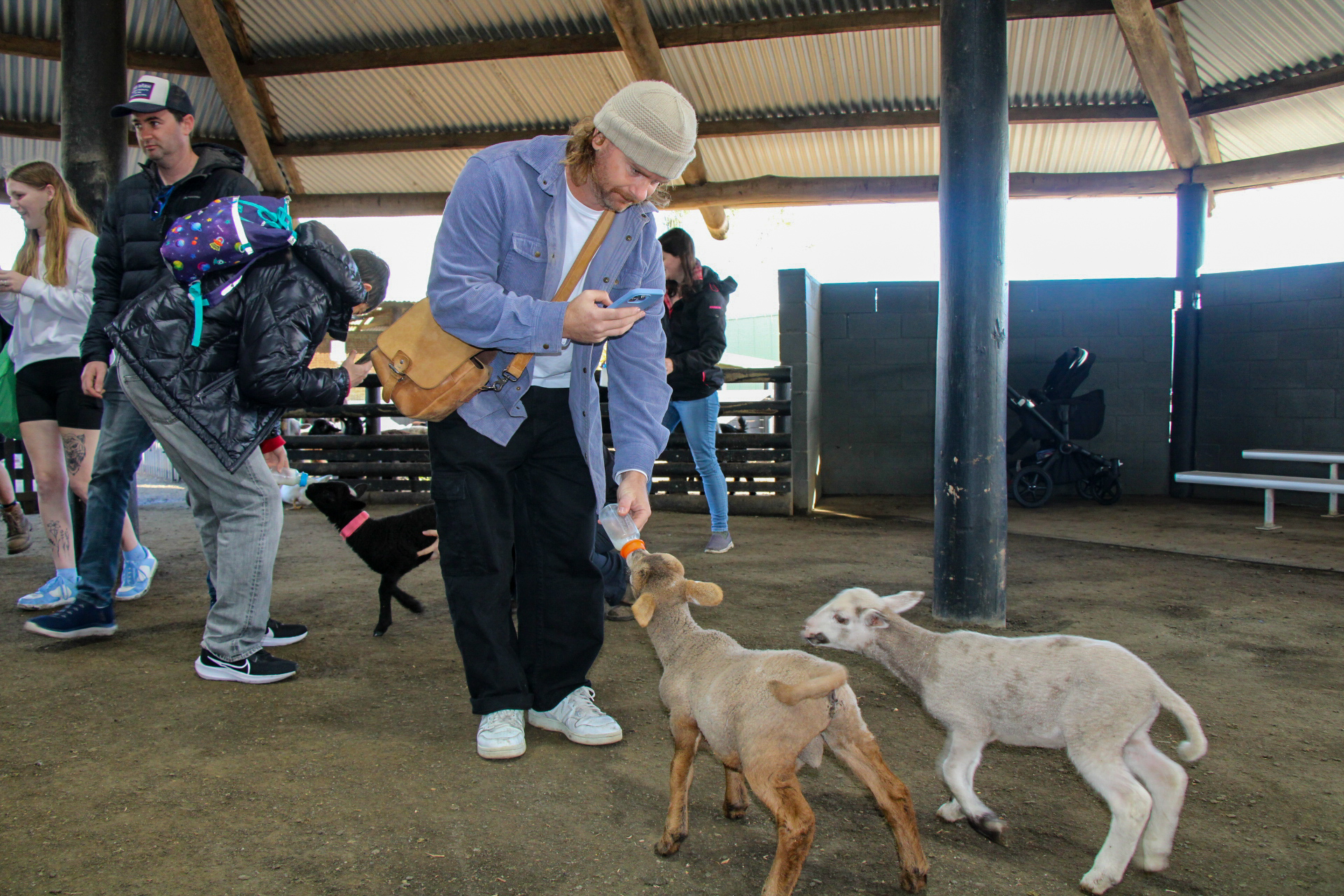 Animal Lovers day tour, departing Newcastle