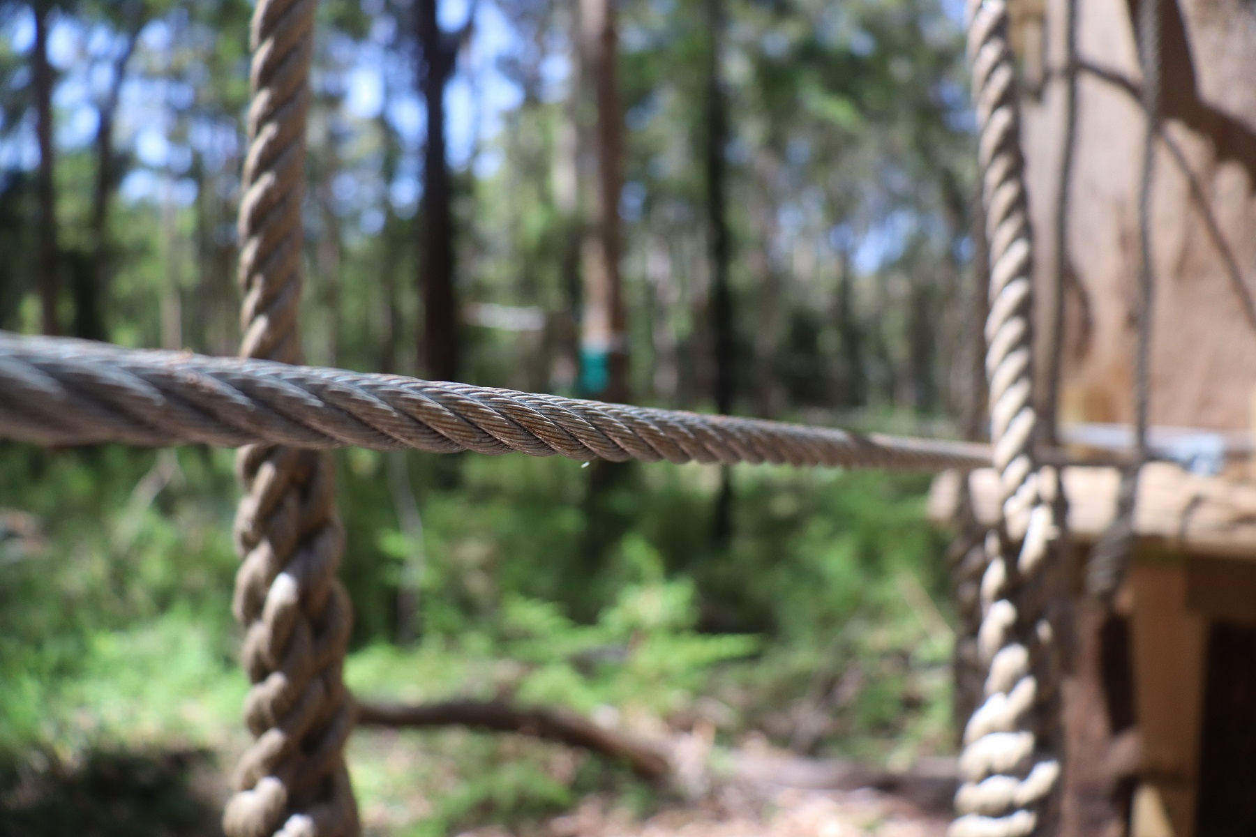 4+ Kookies Access Pass at Aerial Adventure Pemberton