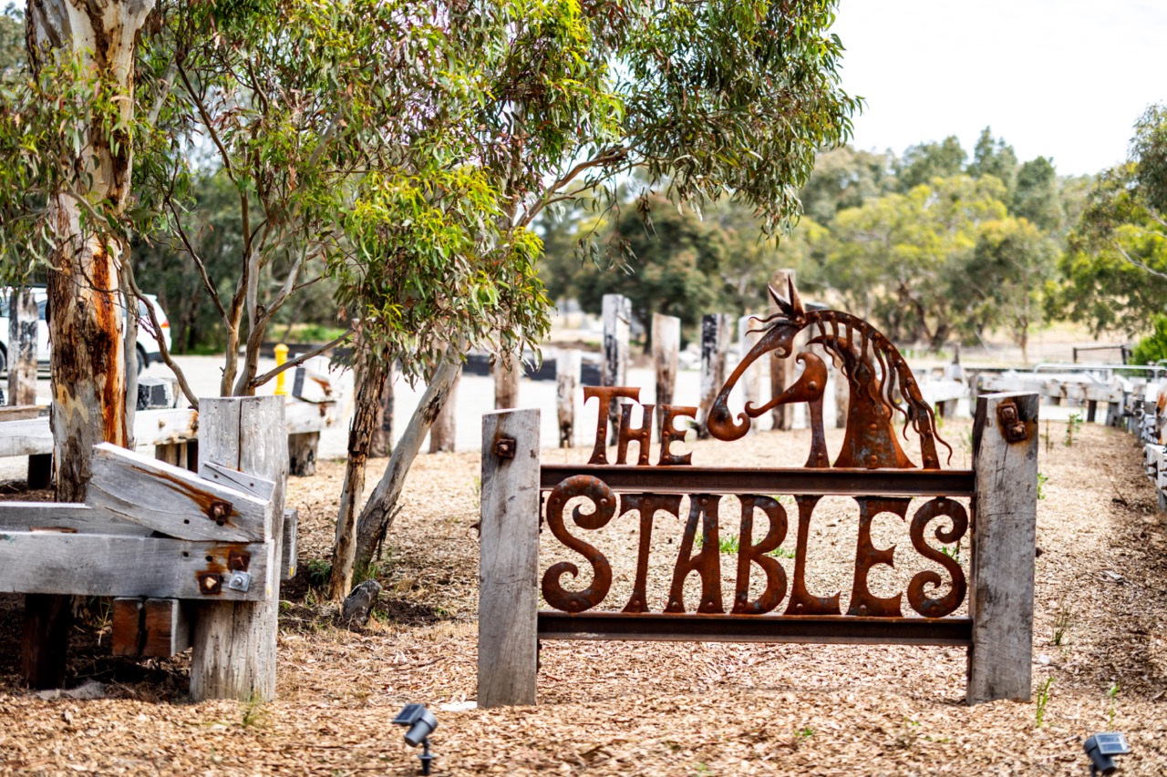 Behind the Scenes with the Clydesdales of the Victor Harbor Tramway