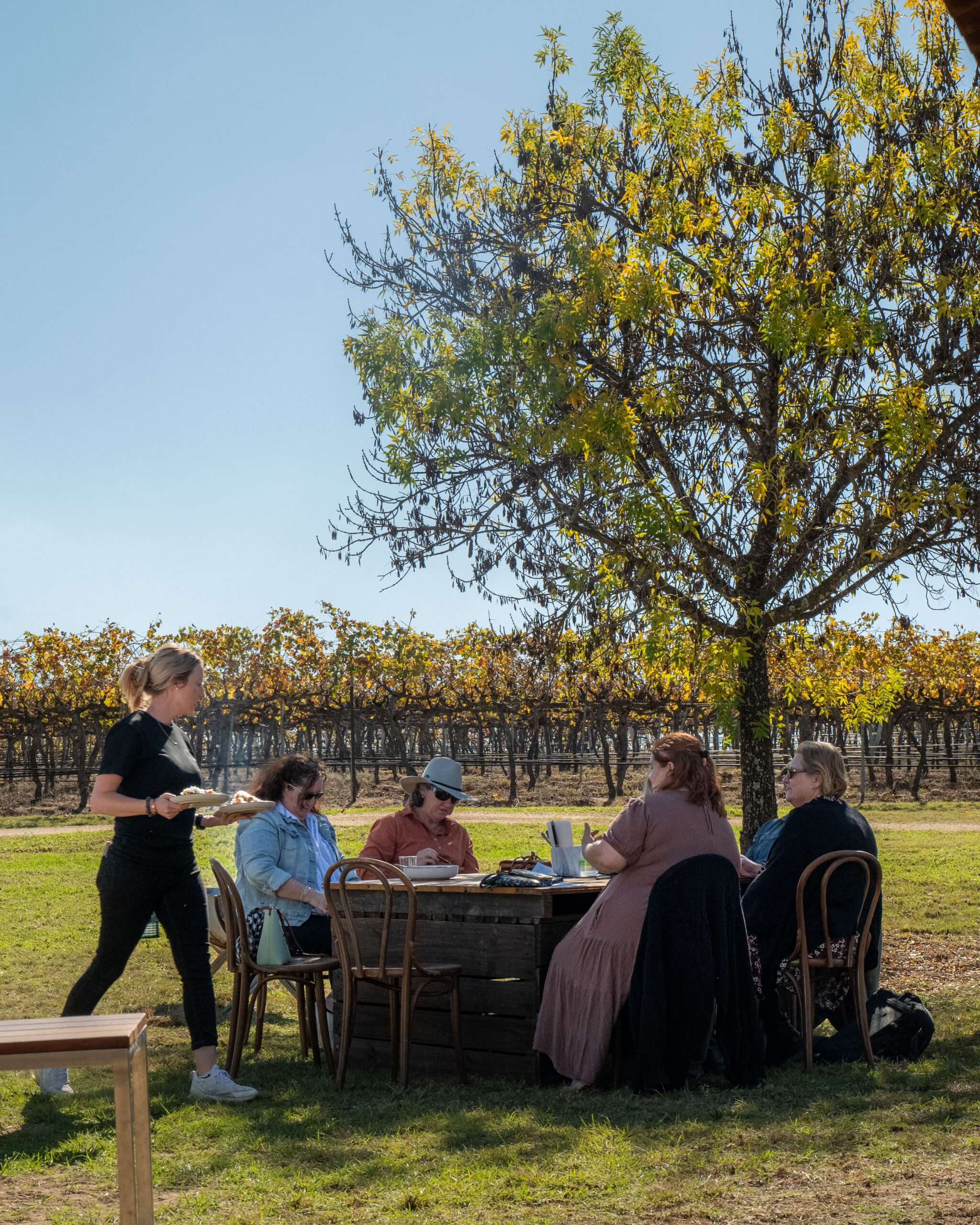 Long lunch amongst the vines