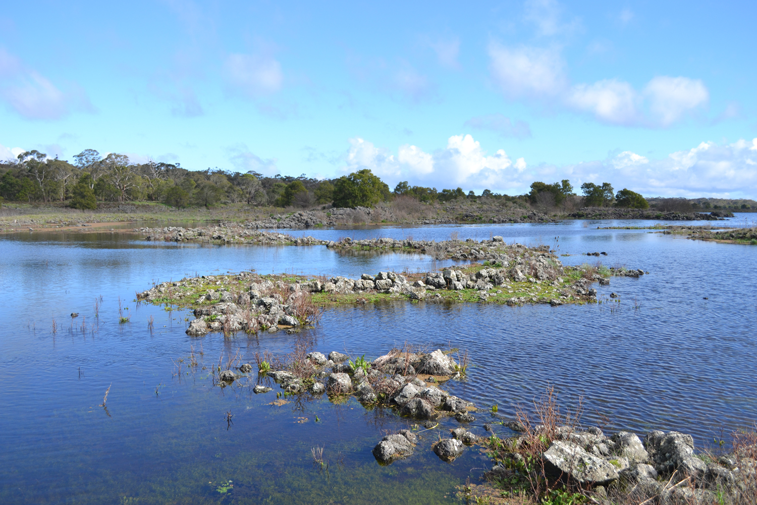 Group - Yaang Yana | Wetland Walk | Full Day Tour