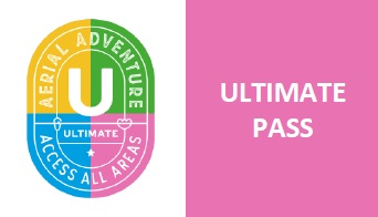 Ultimate Access Pass at Aerial Adventure Pemberton