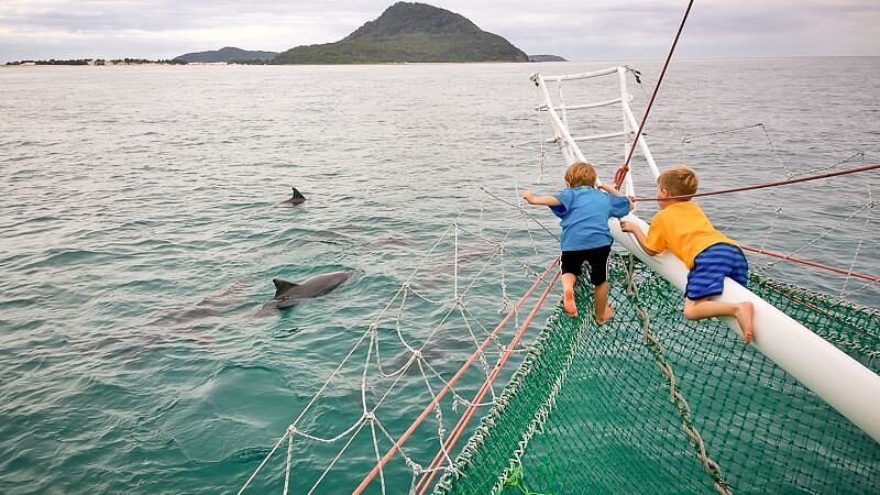 Animal Lovers day tour, departing Newcastle