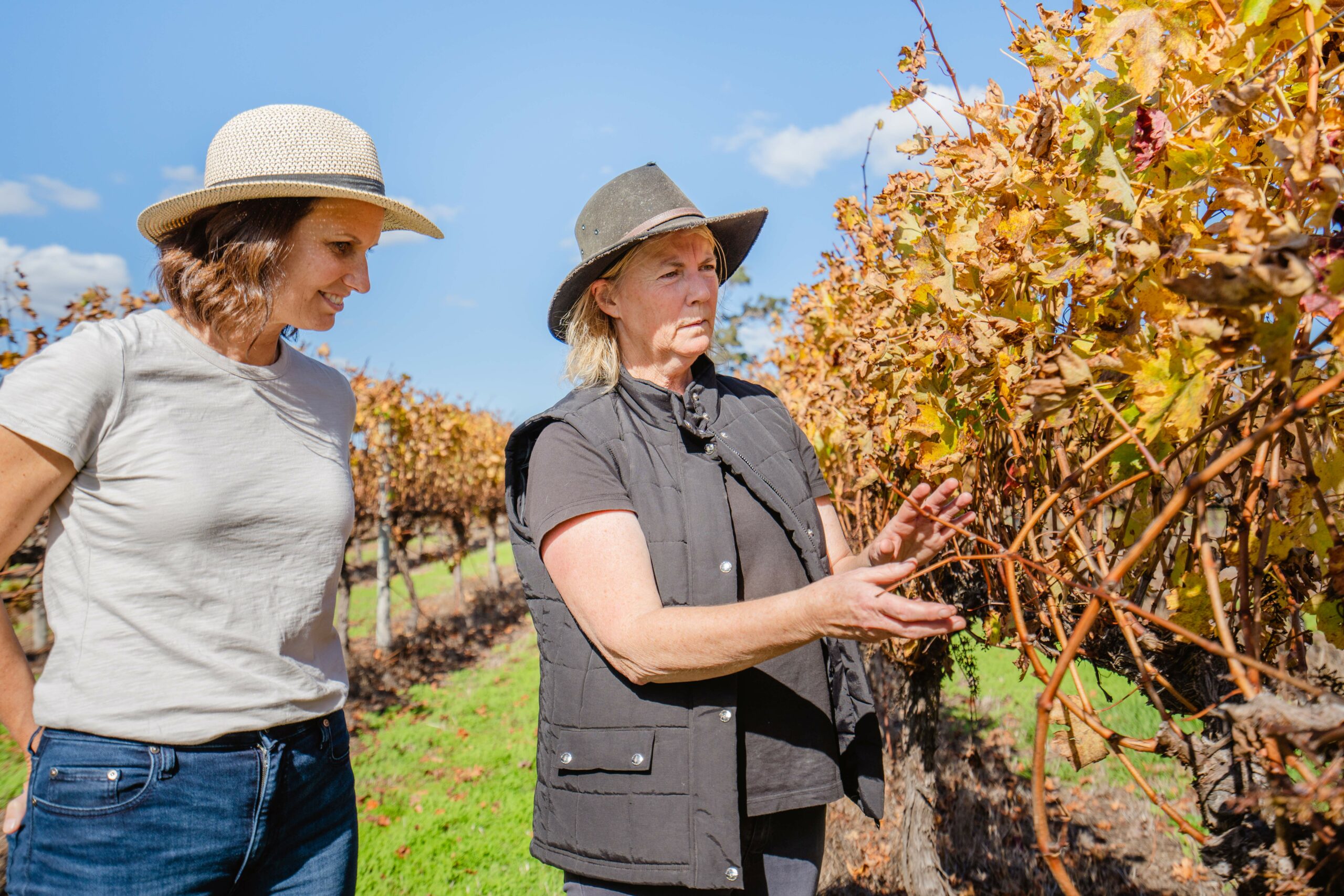 Behind the Scenes Winemaking Experience