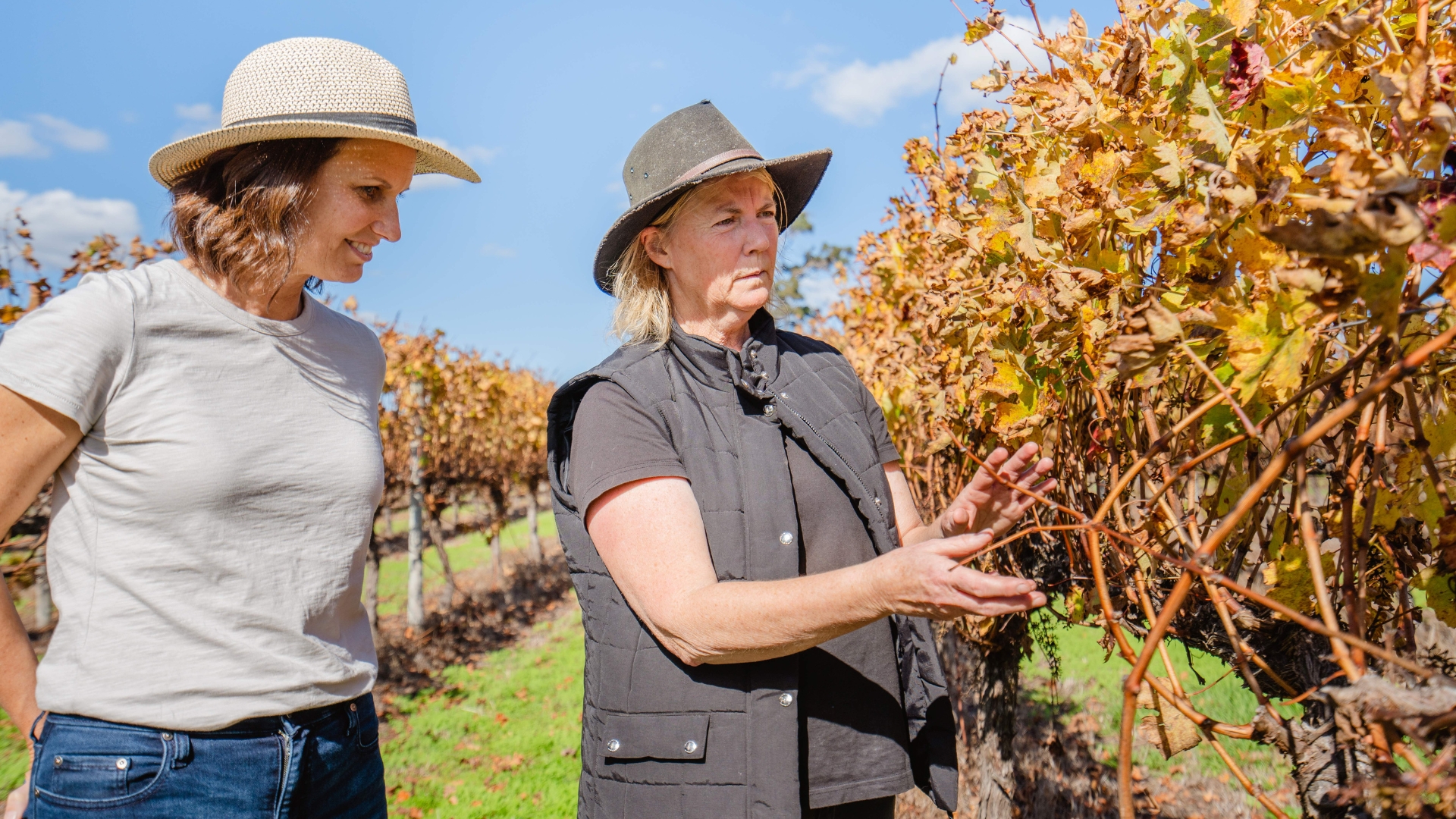 Behind the Scenes Winemaking Experience