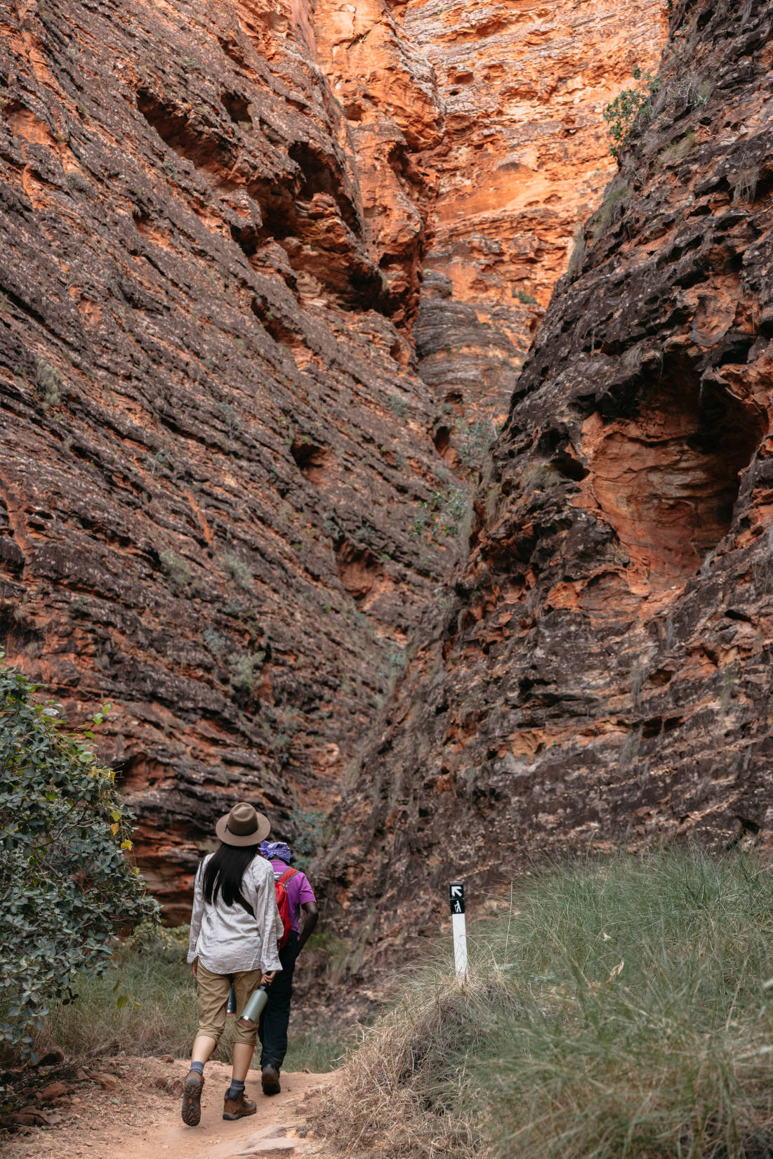 Bungles Ground Tour (Cathedral Gorge)