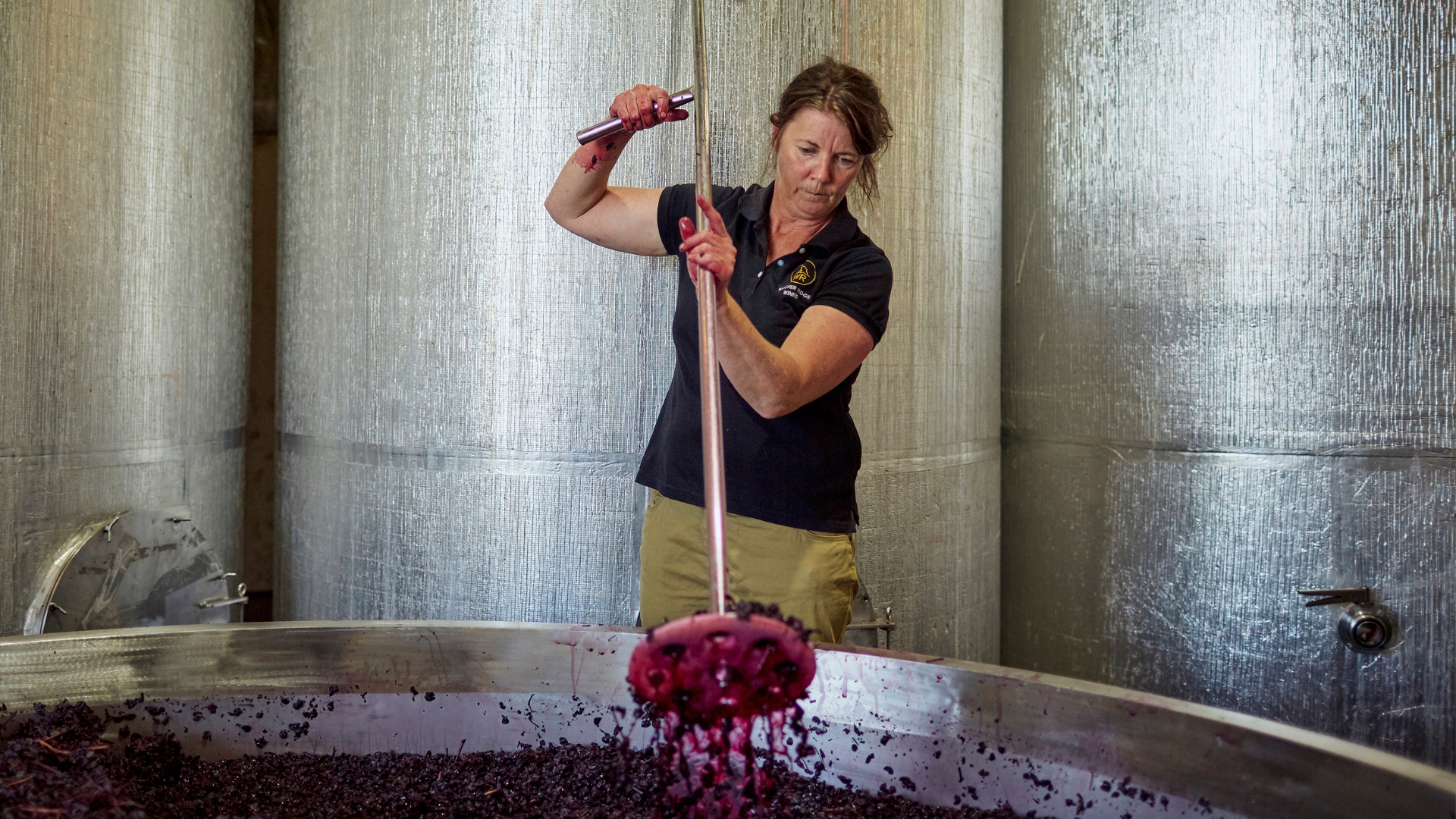 Behind the Scenes Winemaking Experience