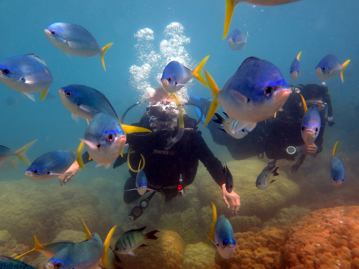 Discover Scuba Diving - Day Tour