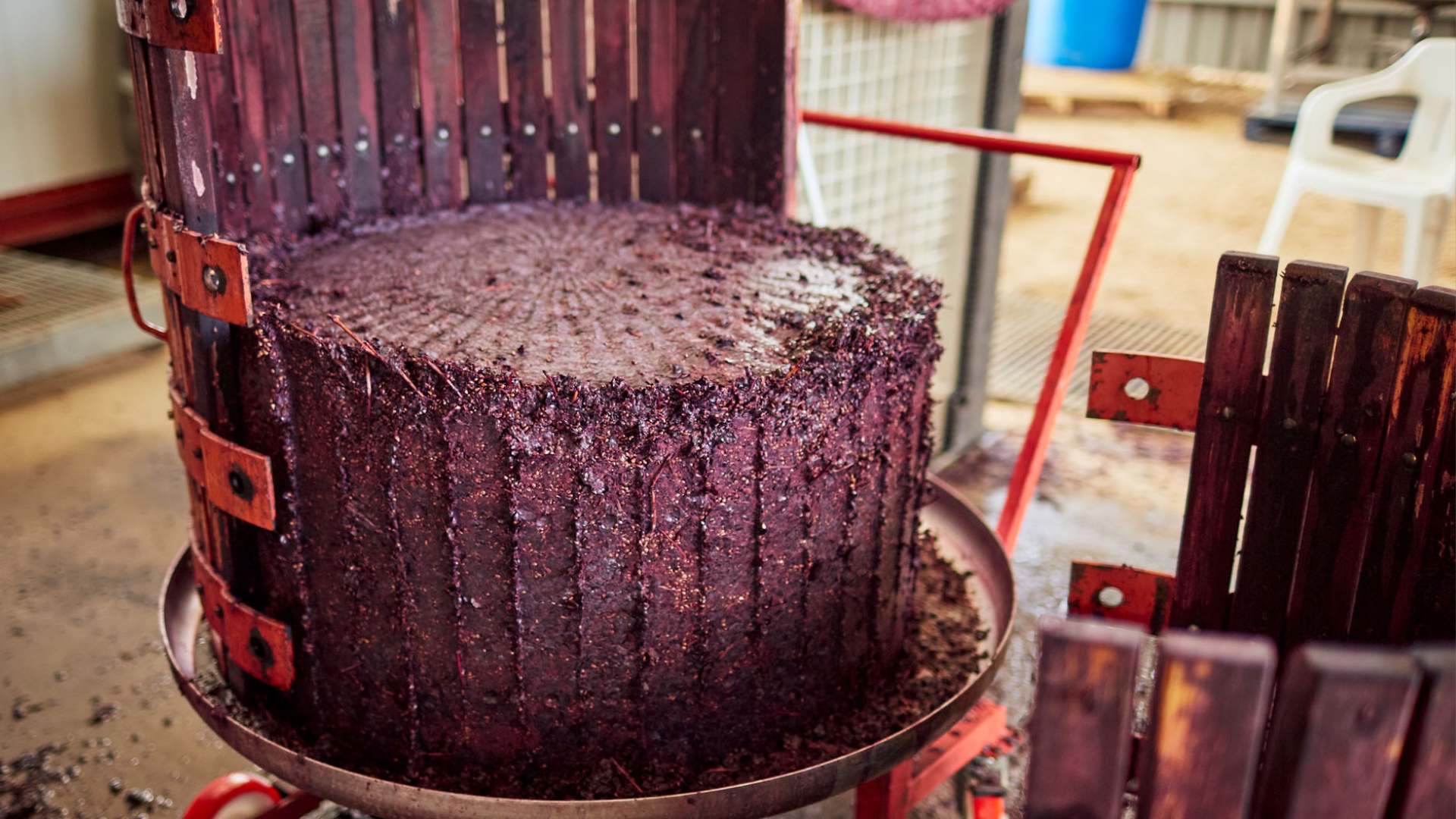 Behind the Scenes Winemaking Experience