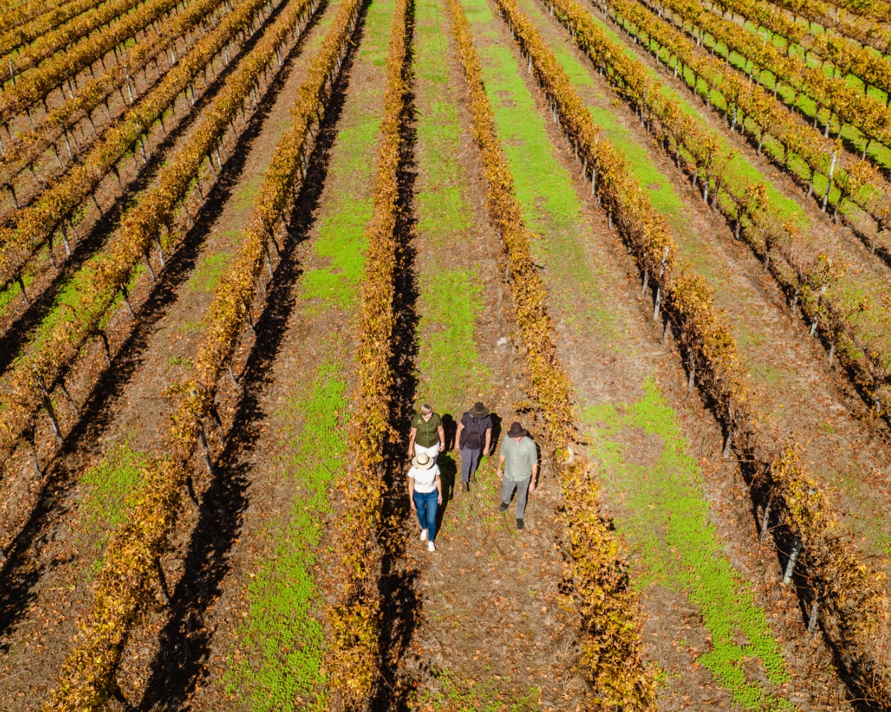 Behind the Scenes Winemaking Experience