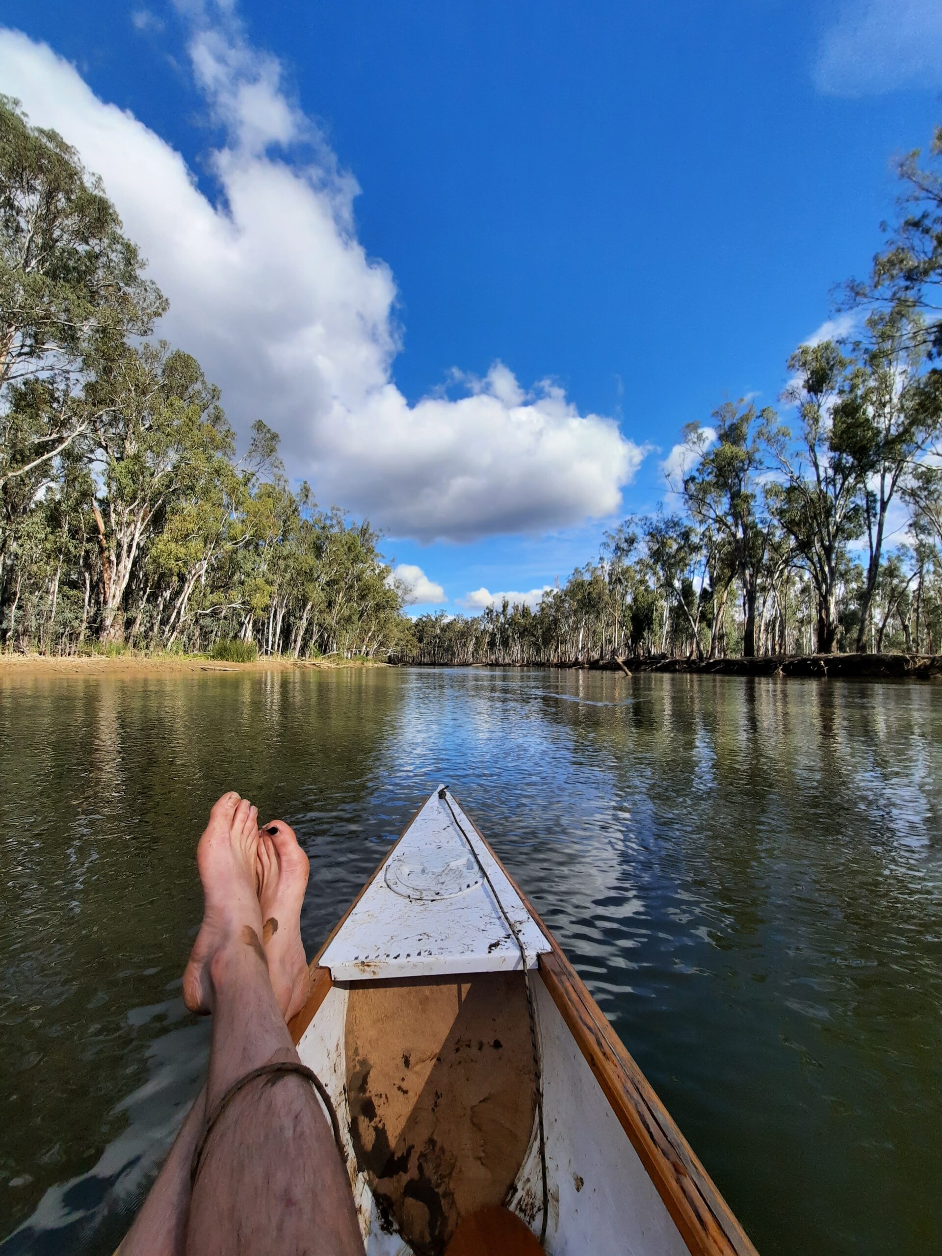 Murray River Canoe Expediton with Artist in residence