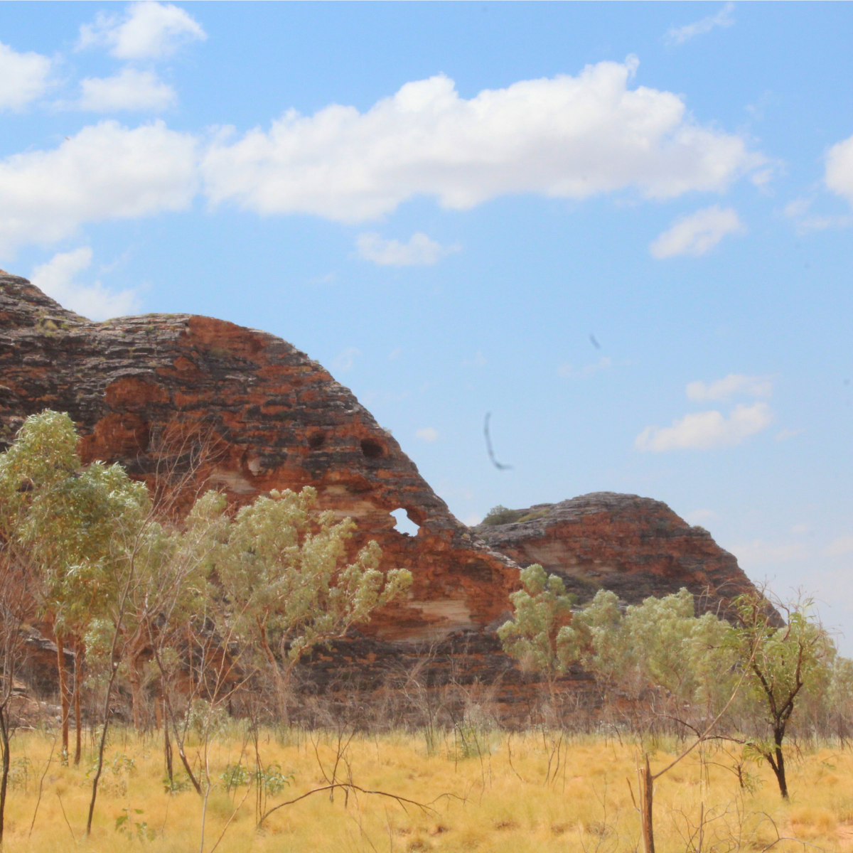 Purnululu Tagalong Southern Massifs: Self-Drive / Guided Trek