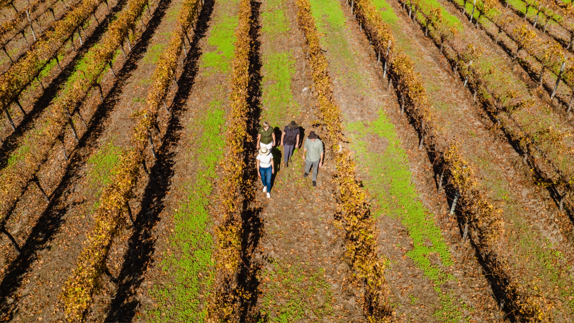 Behind the Scenes Winemaking Experience