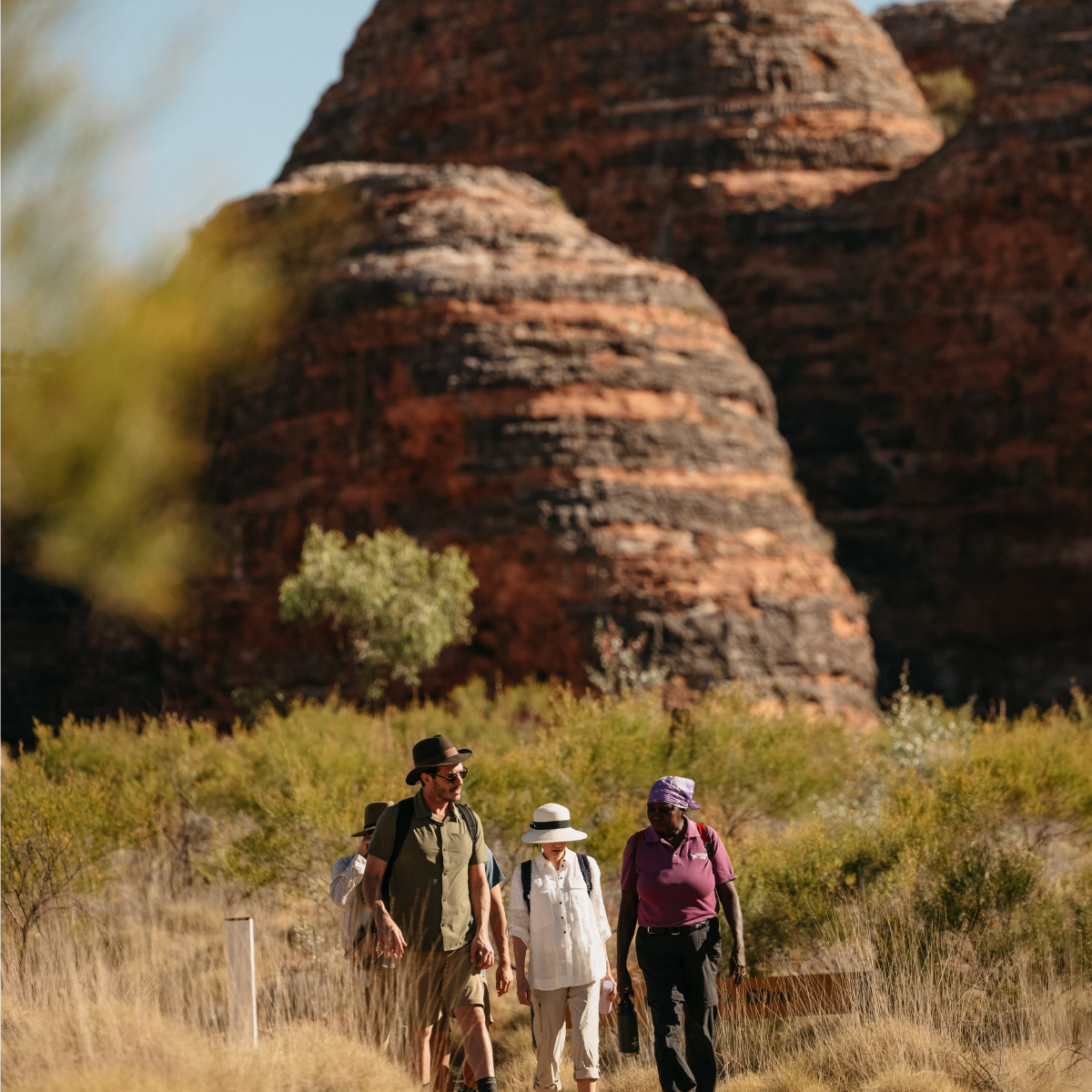 Halls Creek To Purnululu: Fly/ 4WD/ Trek+