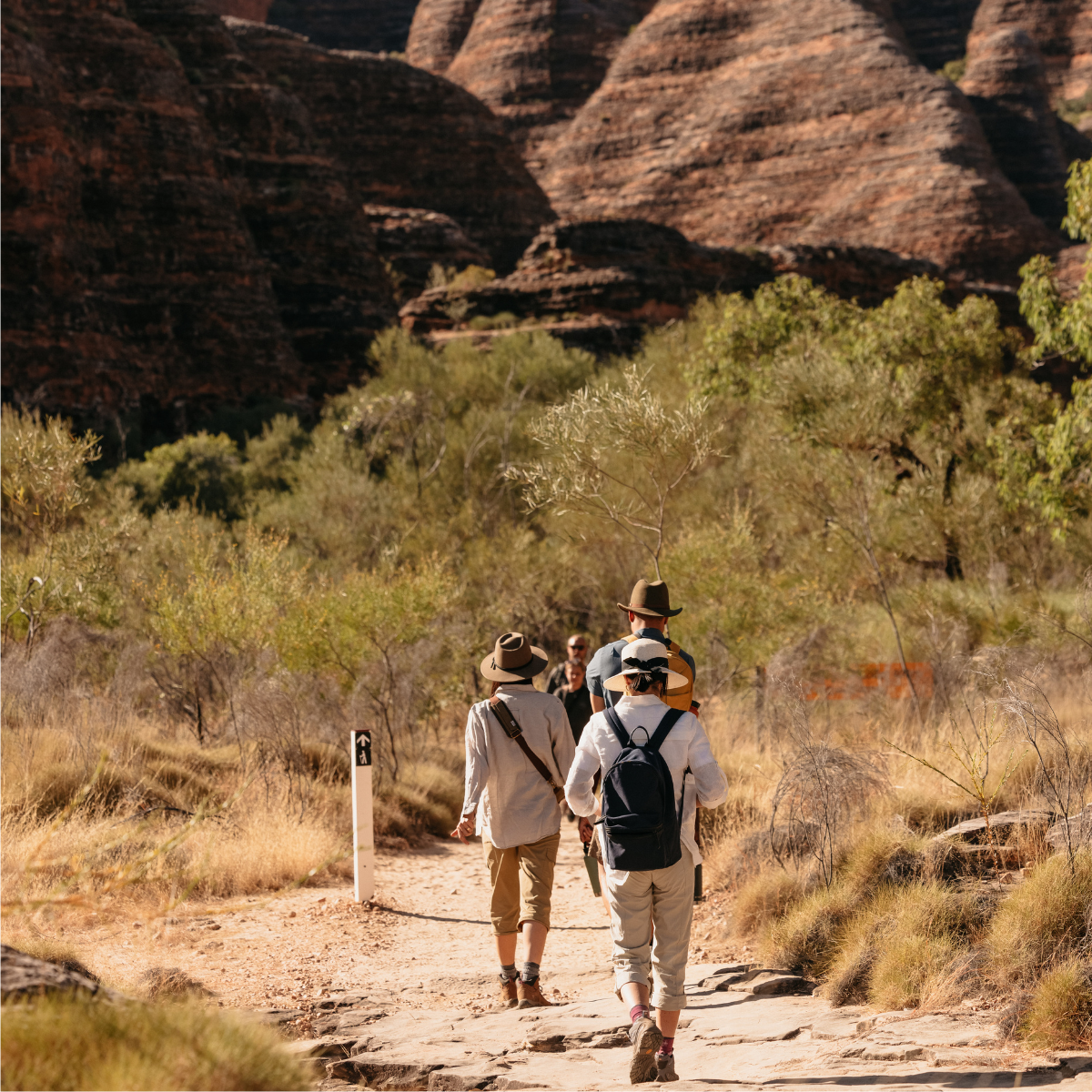 Broome to Purnululu (Bungles) Day Trek: Fly/ 4WD/ Trek