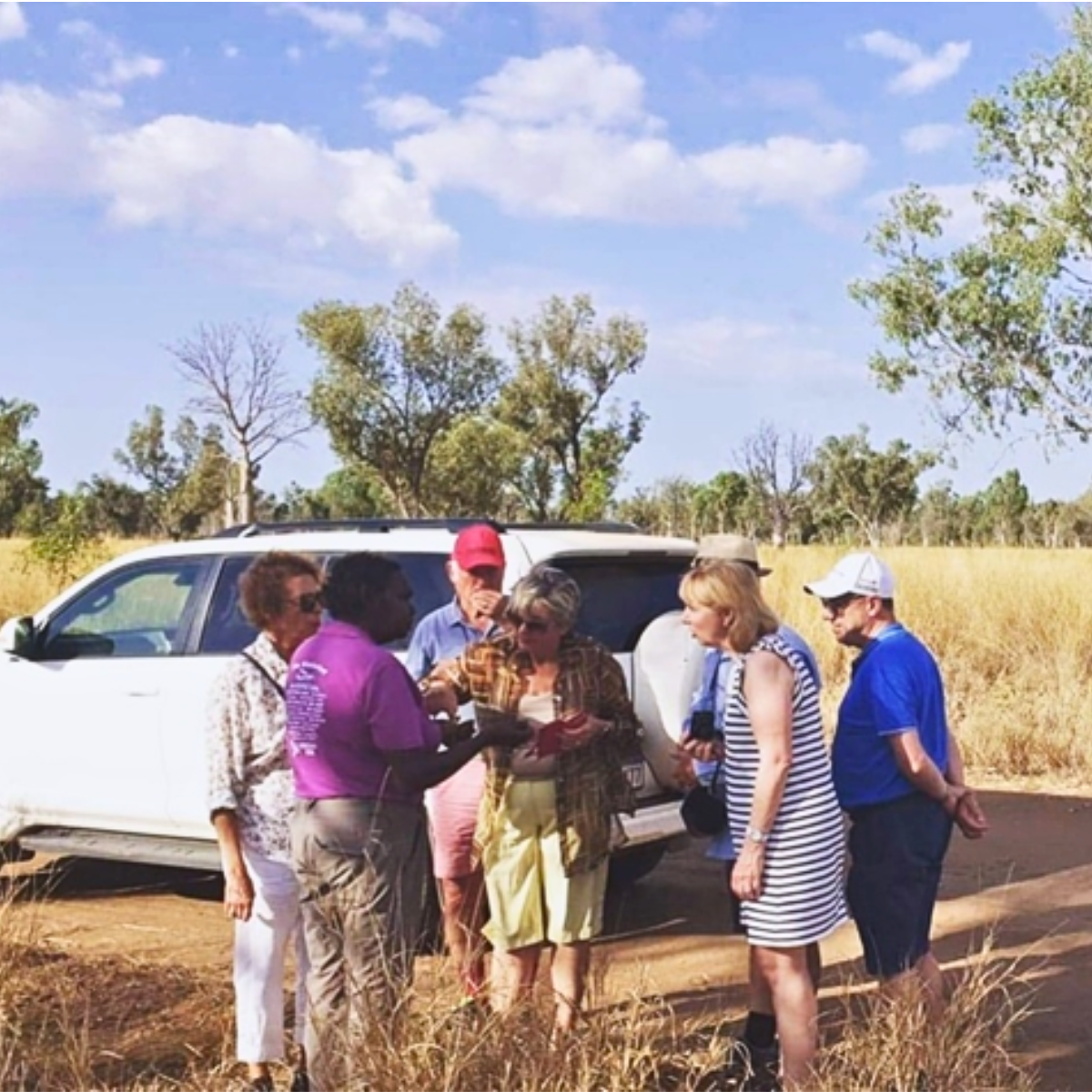 Bullo River Station Ground Transfer: 4WD/ Tour/ Transfer