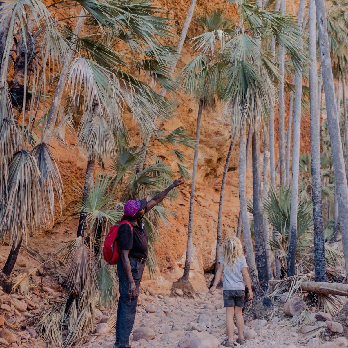 Kununurra to Purnululu 4WD Safari: 2 Days, 1 Night