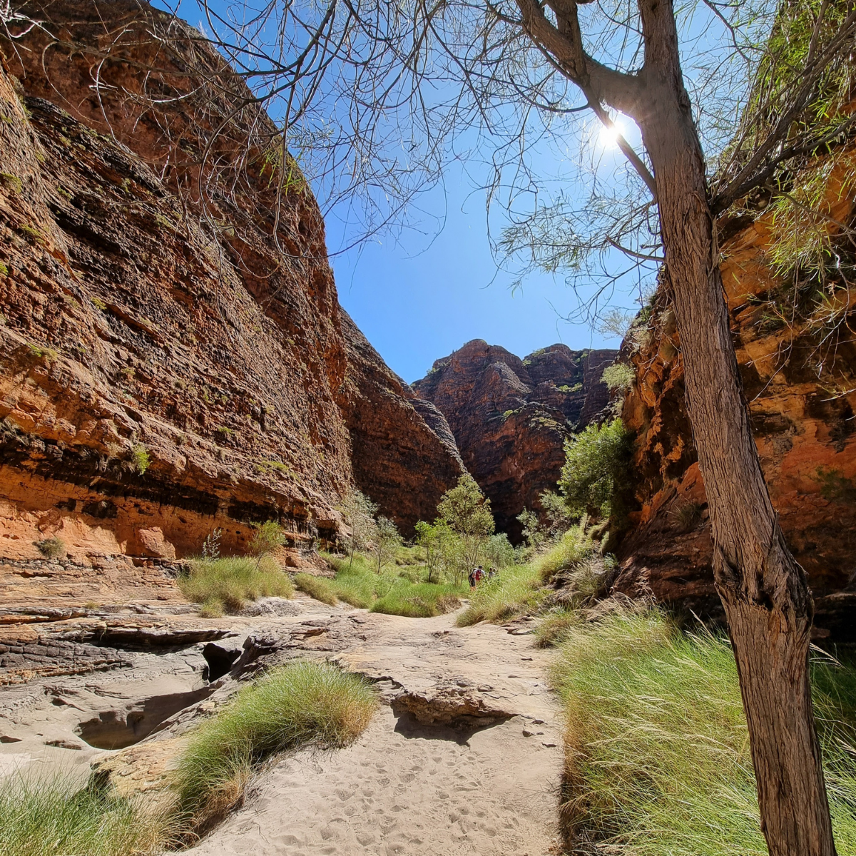 Halls Creek To Purnululu: Fly/ 4WD/ Trek+