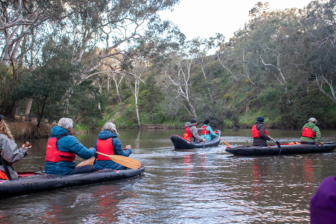 Learn to dance with the Birrarung (Yarra)