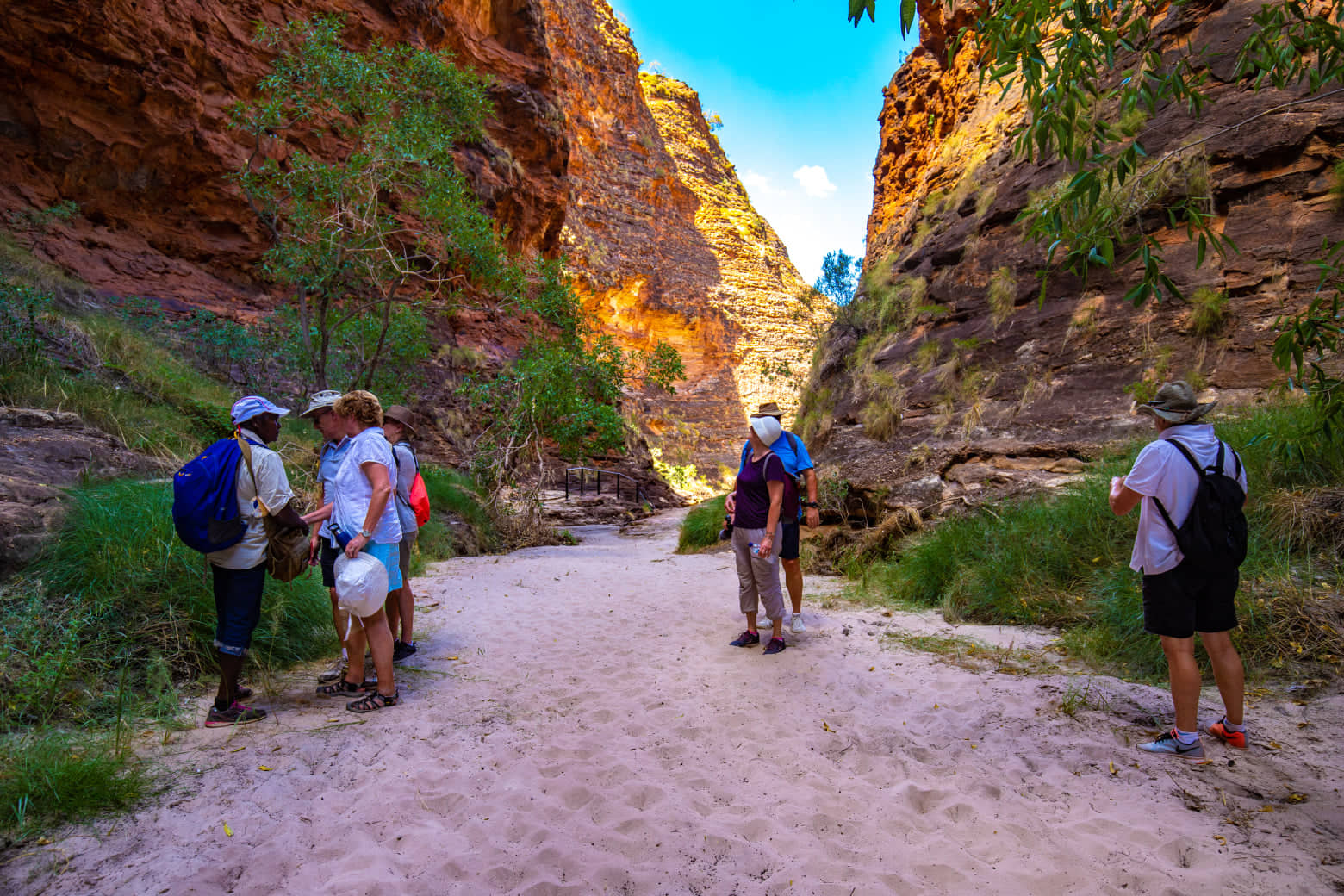 Bungles 4wd 2 days and 1 night safari