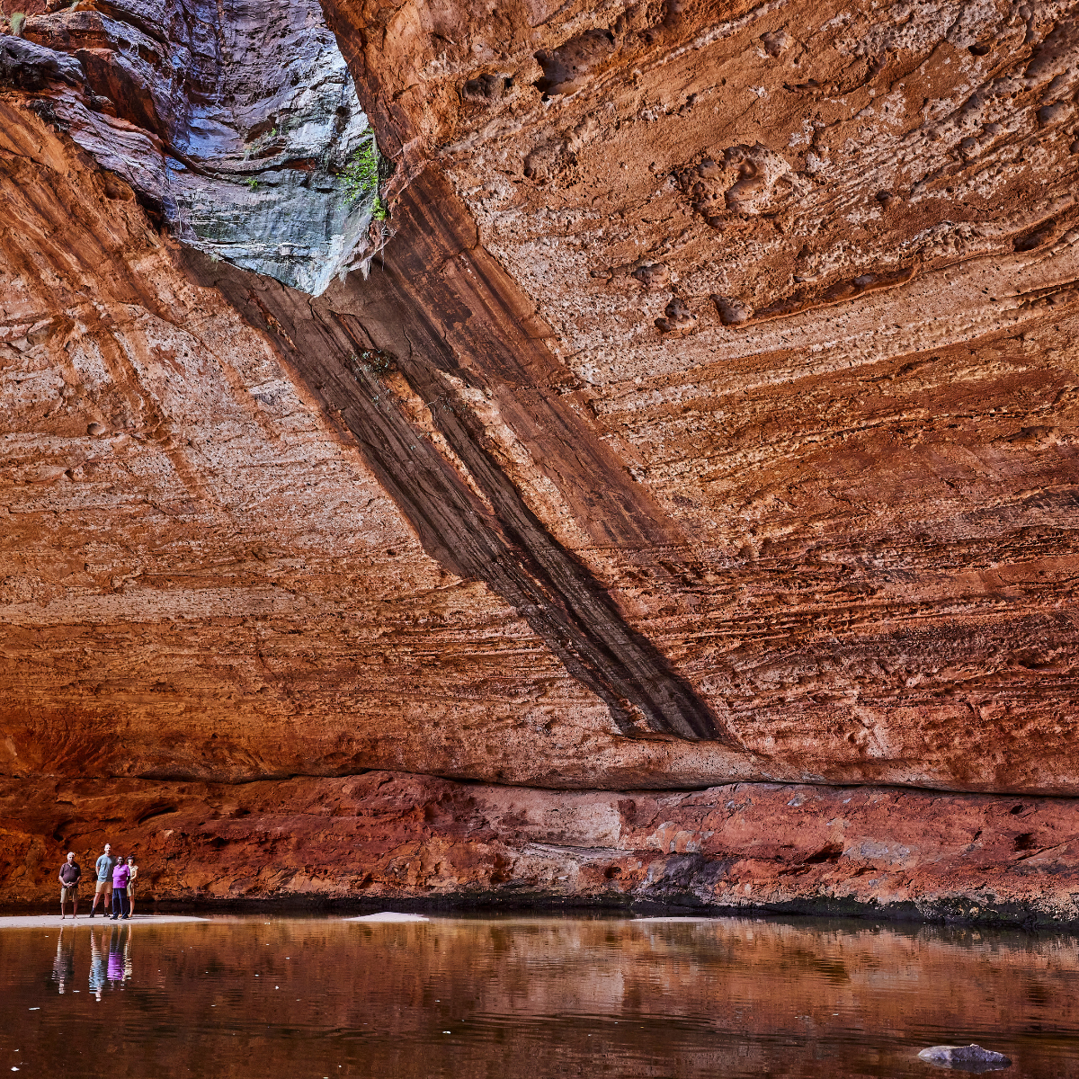 Halls Creek To Purnululu: Fly/ 4WD/ Trek+