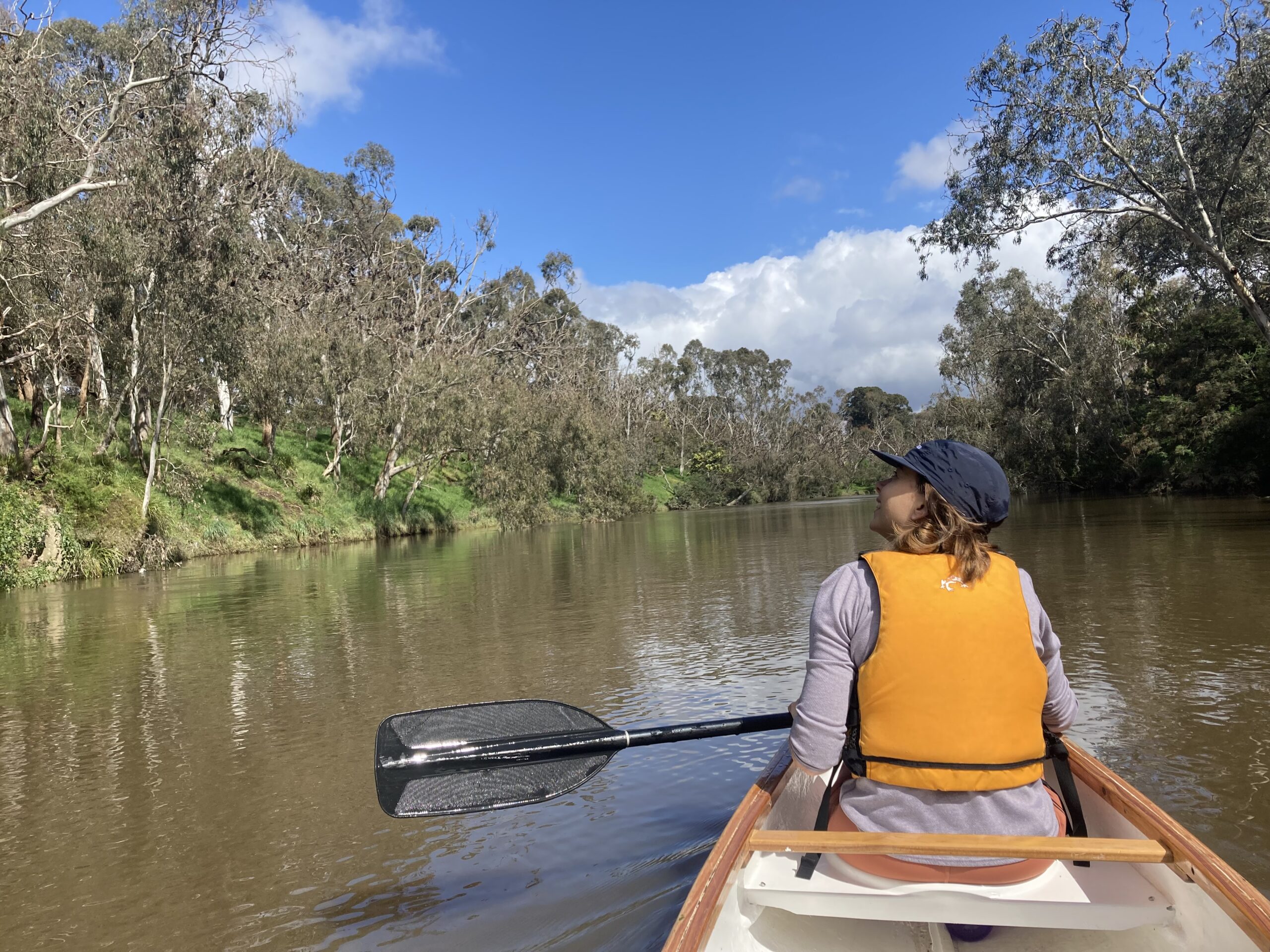 DIY Adventure Lower Yarra Paddling