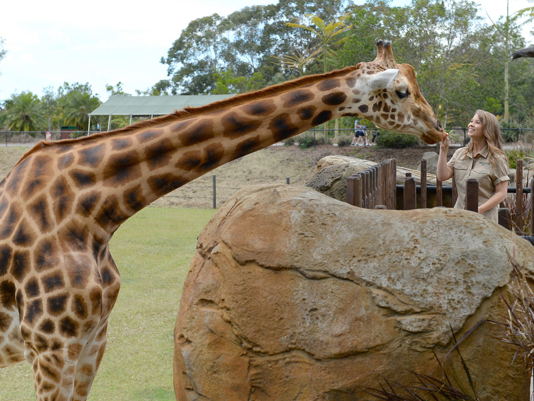 Australia Zoo - Glass House Mountains Combo