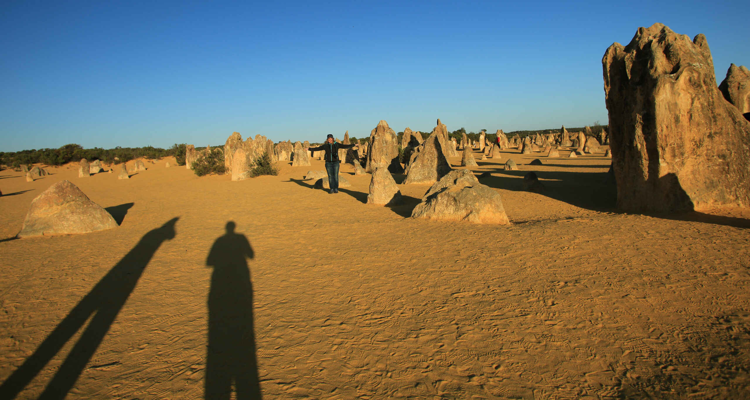 Private Photographic Day Tour of Yanchep and Pinnacles National Parks