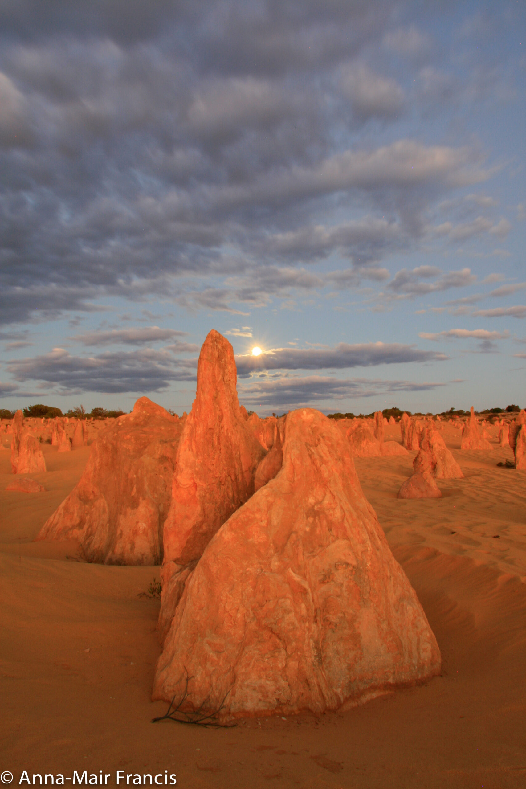 Private Photographic Day Tour of Yanchep and Pinnacles National Parks