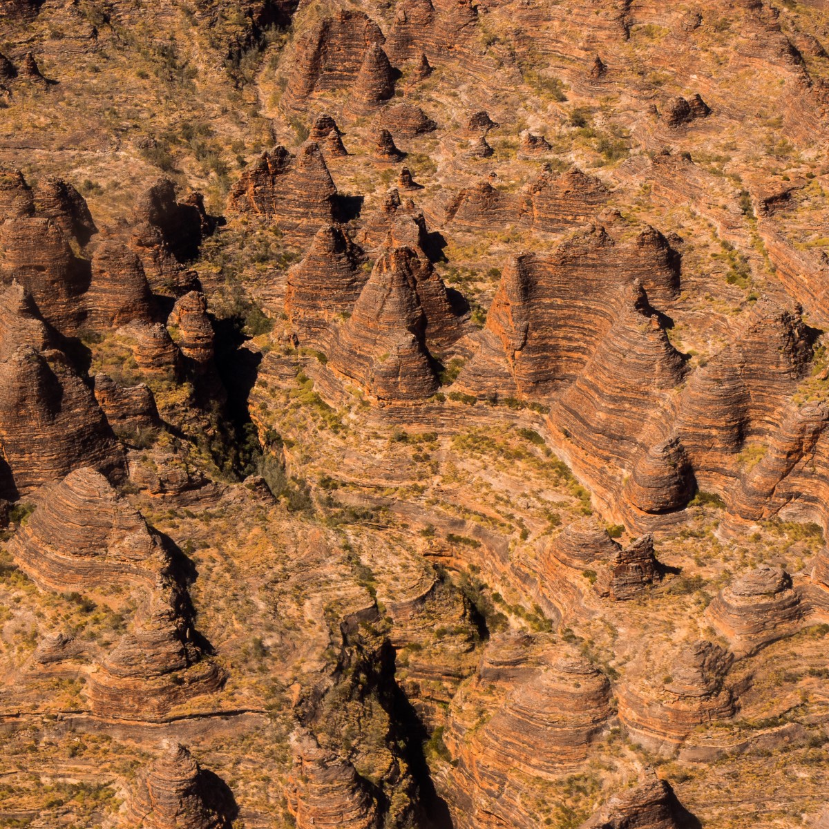 Broome to Purnululu (Bungles) Day Trek: Fly/ 4WD/ Trek