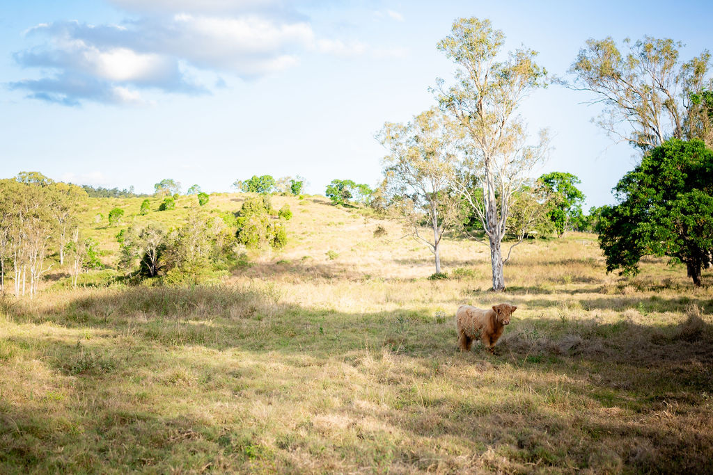 Highland Hideaway Farm Tour