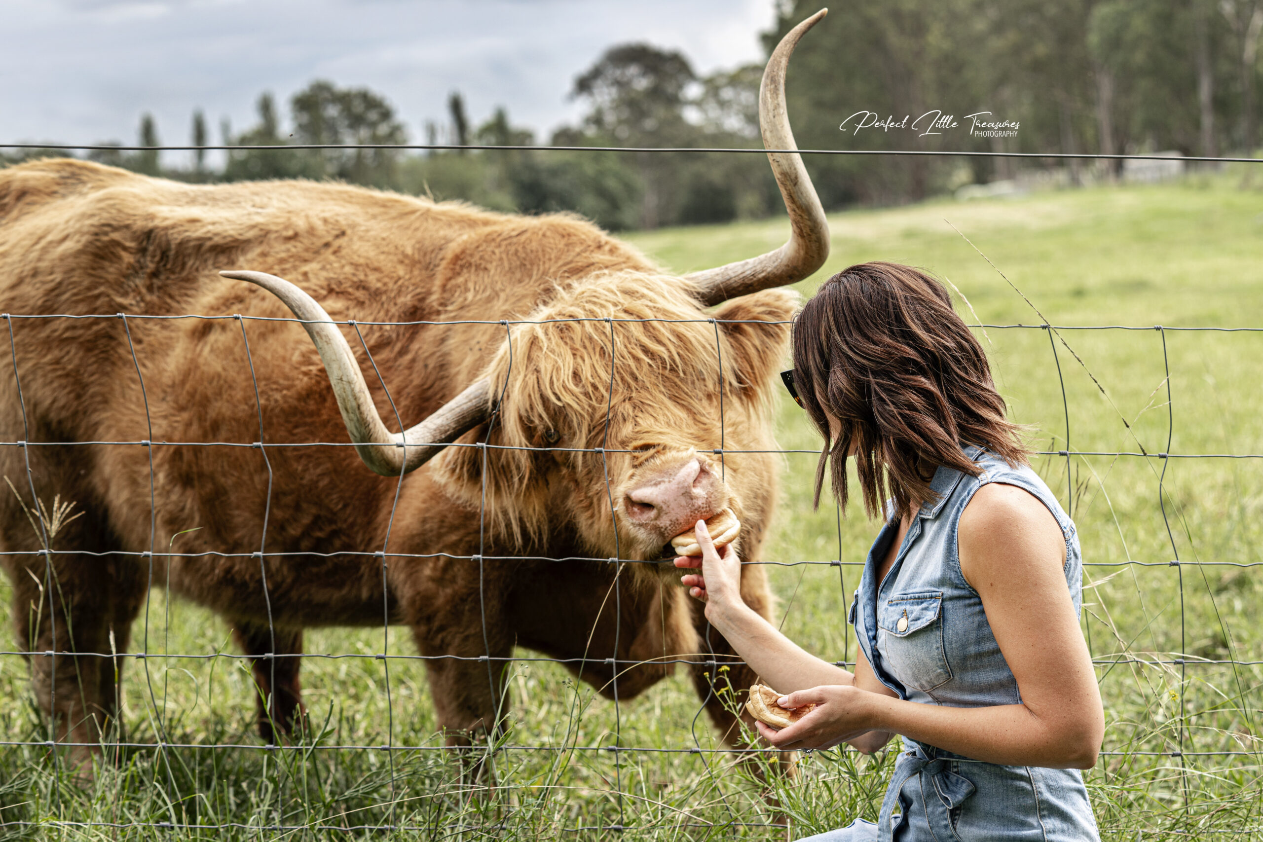 Bon Rean Highlands Farm Experience