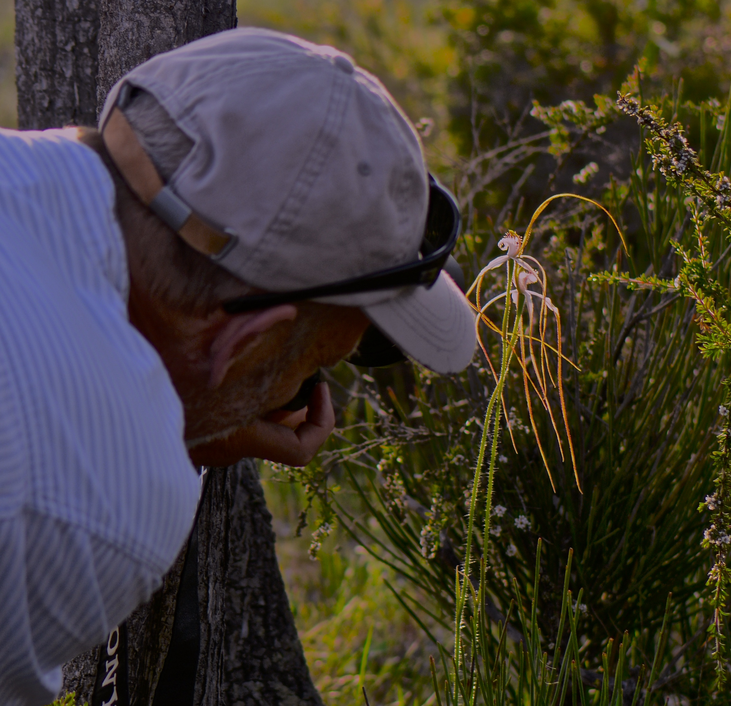 Copy of Wildflower and Orchid  Half day tour