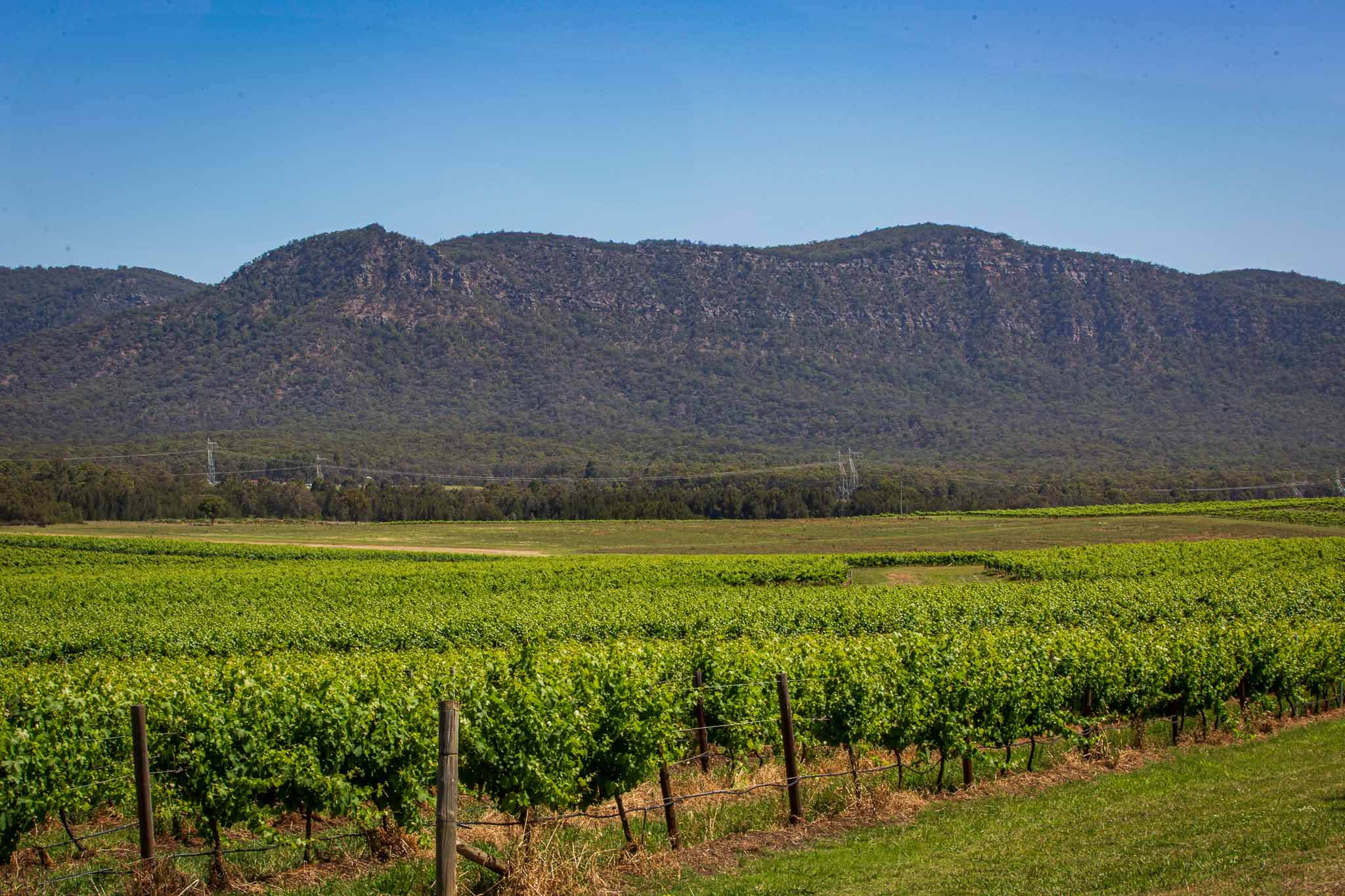 Luxury Hunter Valley Mercedes Escape Tour