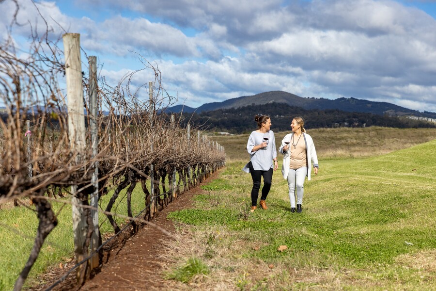 Autopia Tours: Hunter Valley Scenic Wine Tour with Lunch