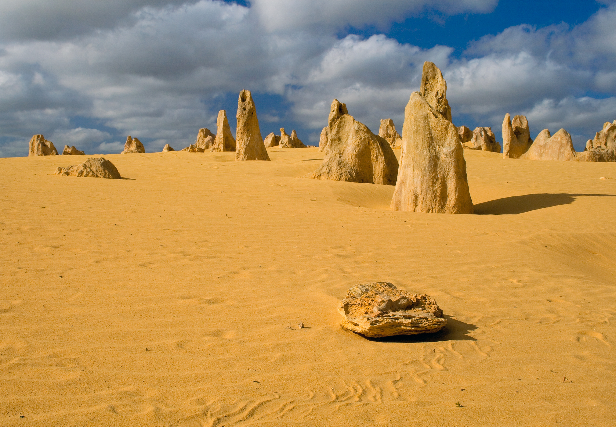 Private Photographic Day Tour of Yanchep and Pinnacles National Parks