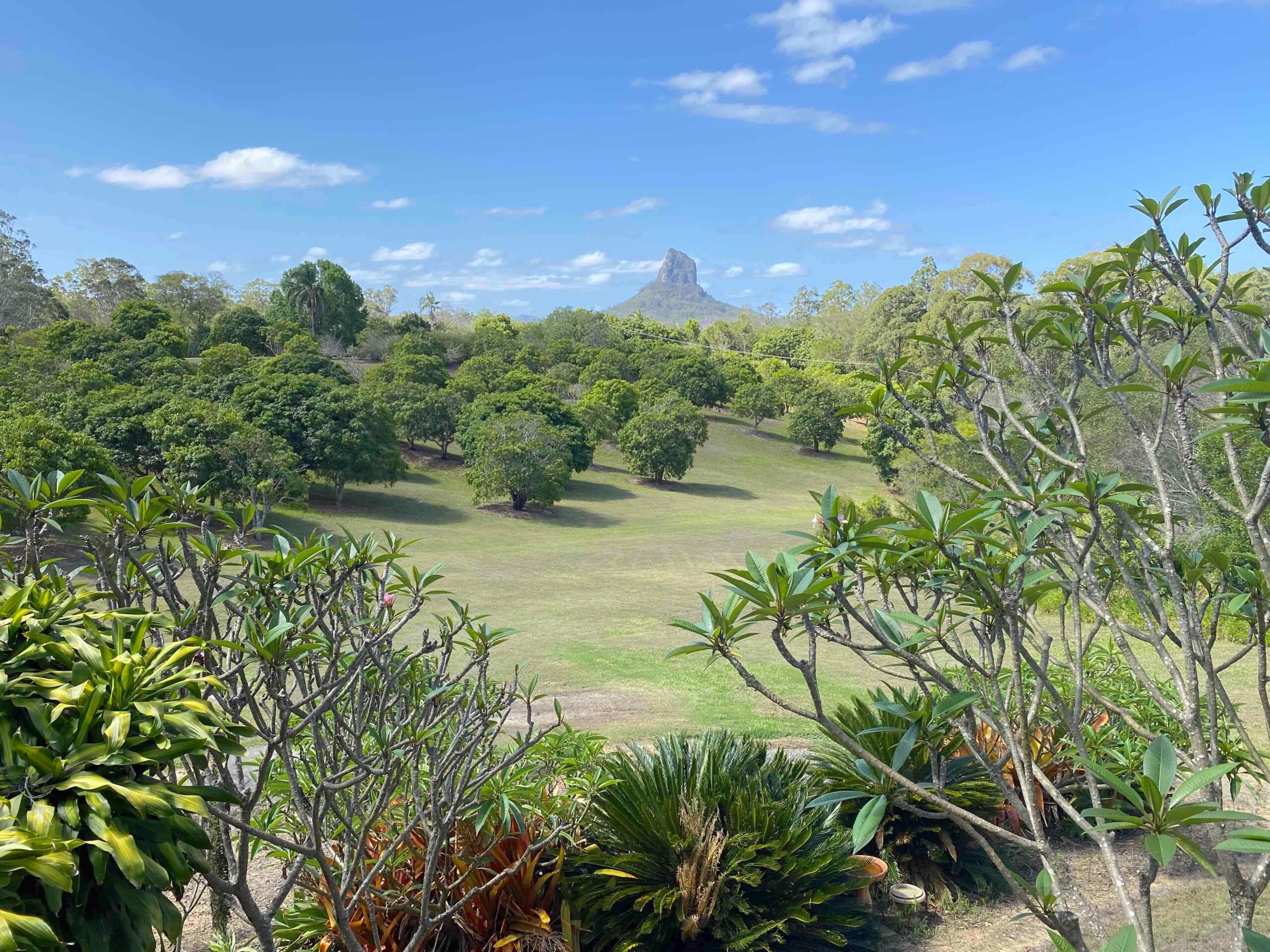 Australia Zoo - Glass House Mountains Combo