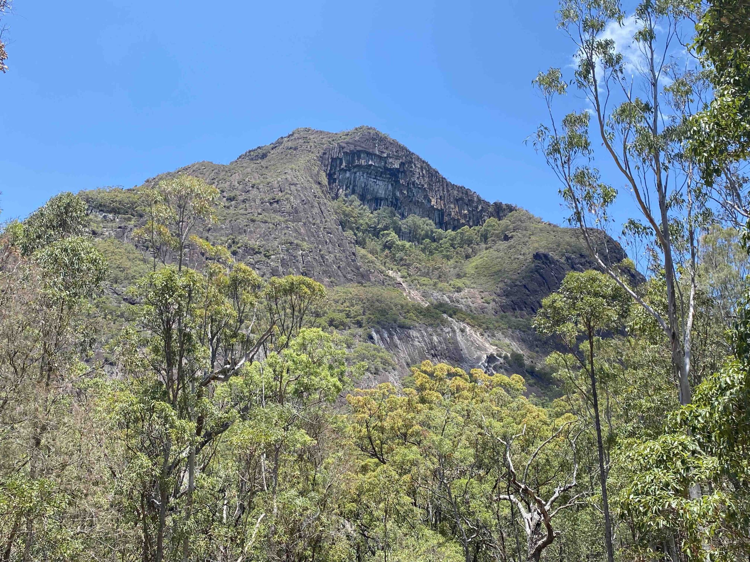 Australia Zoo - Glass House Mountains Combo