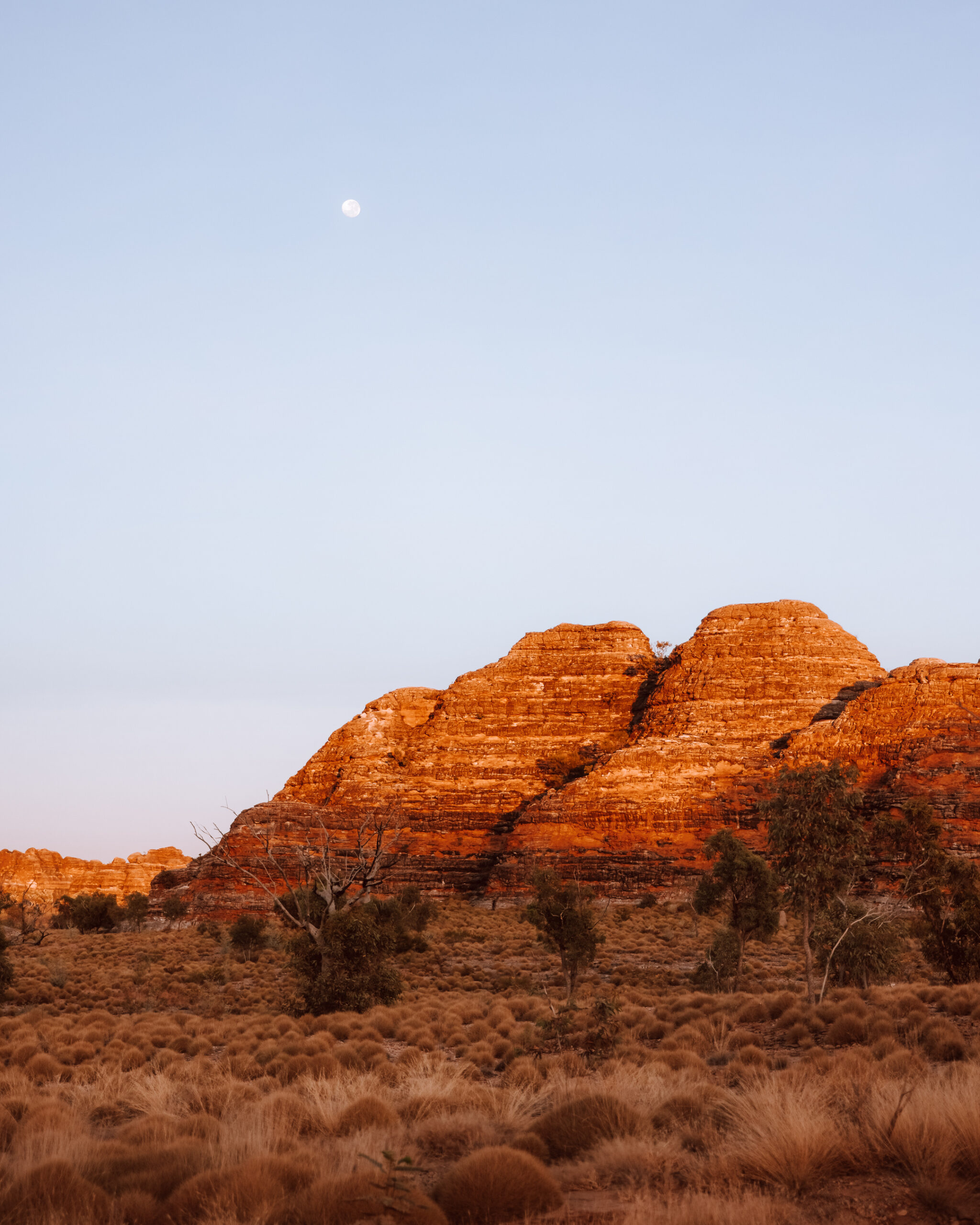 Halls Creek Bungles Day Trek Extended