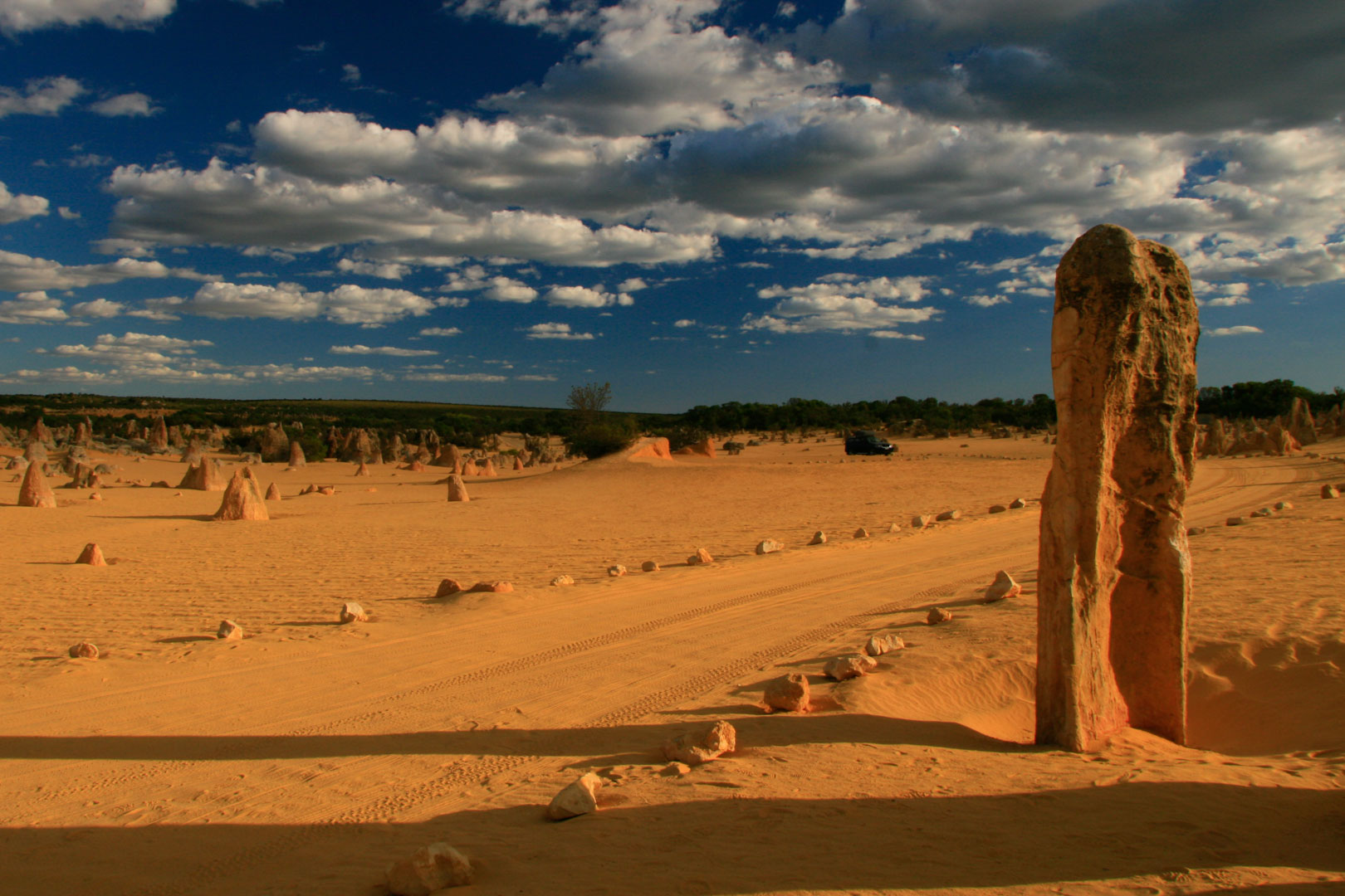 Private Photographic Day Tour of Yanchep and Pinnacles National Parks